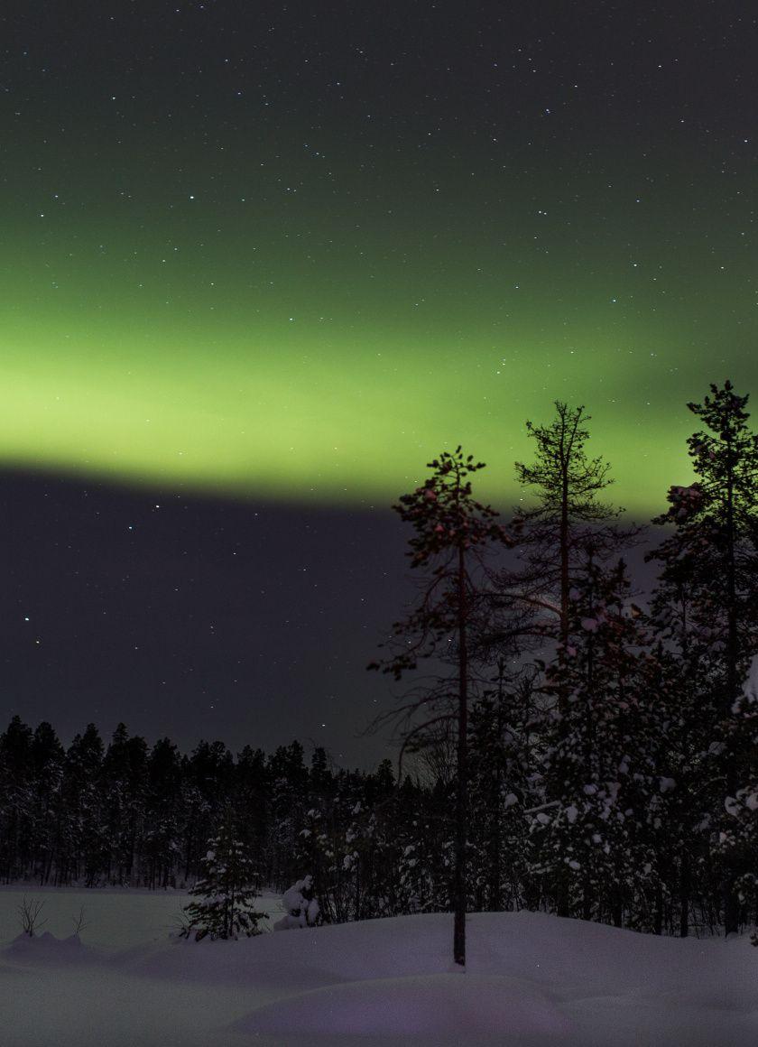 840x1160 Downaload Northen lights, sky, forest, tree, nature, Finland