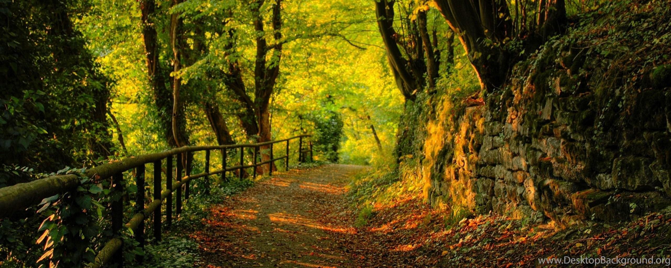2560x1024 Autumn Dual Monitor 2560 X 1024 Wallpaper Desktop Background