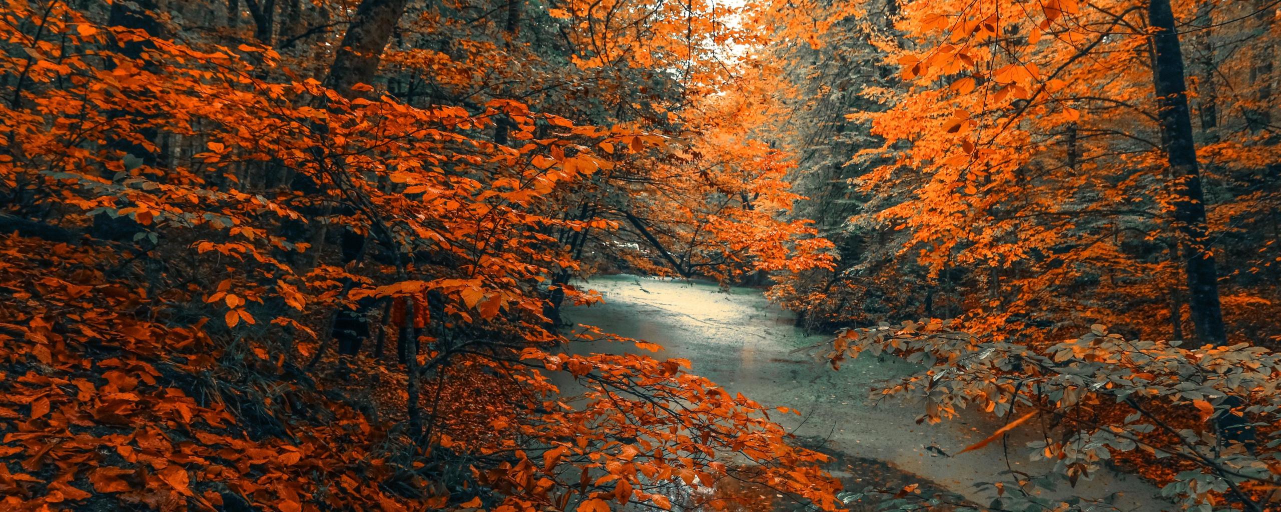 2560X1024 Autumn Wallpapers - Top Free 2560X1024 Autumn Backgrounds ...