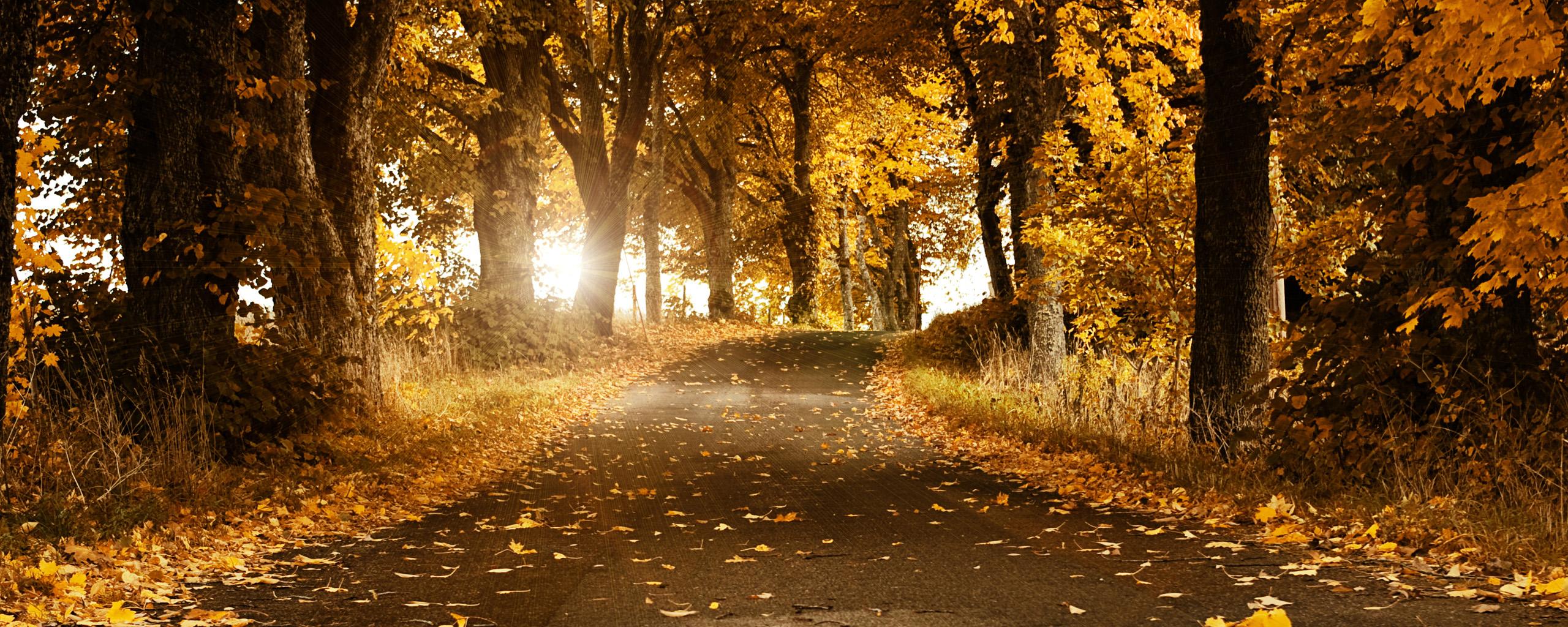 2560x1024 Road Wallpaper and Background Imagex1024