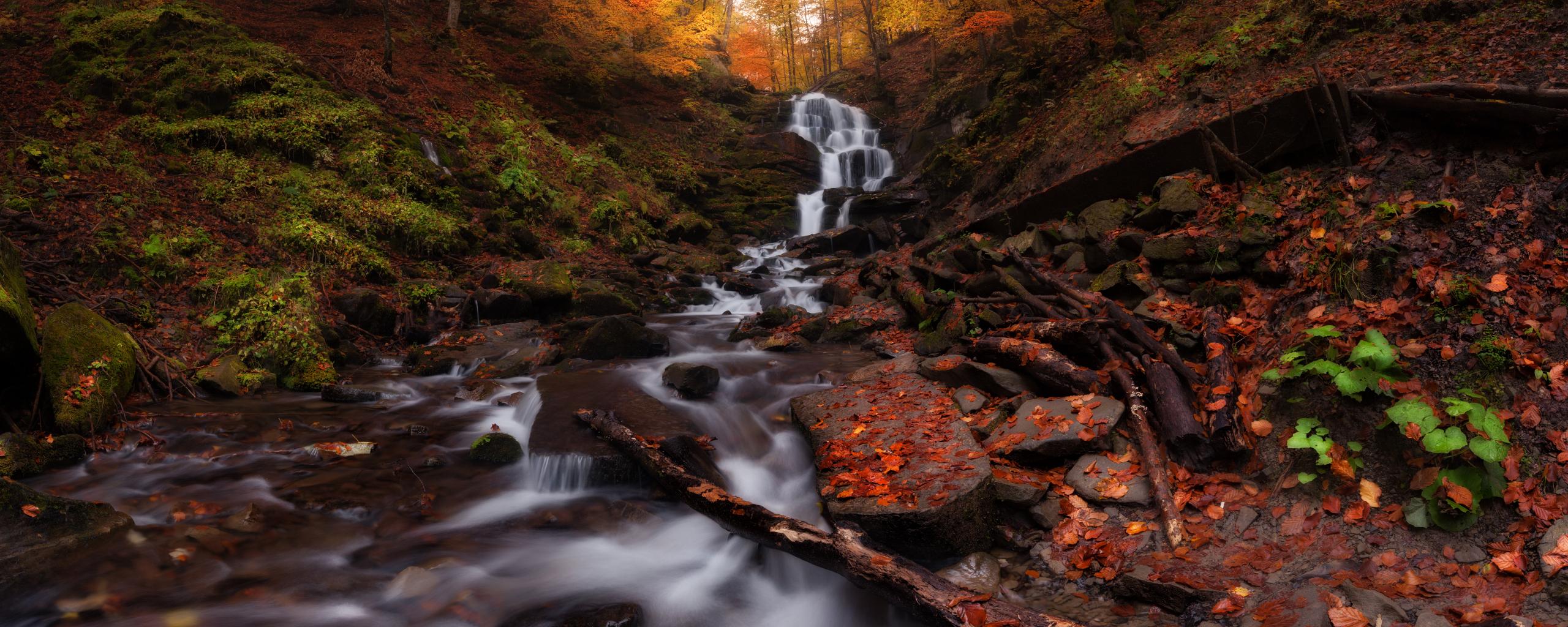 2560x1024 Download 2560x1024 wallpaper autumn, forest, water current, waterfall, nature, dual wide, wide 21: widescreen, 2560x1024 HD image, background, 22722