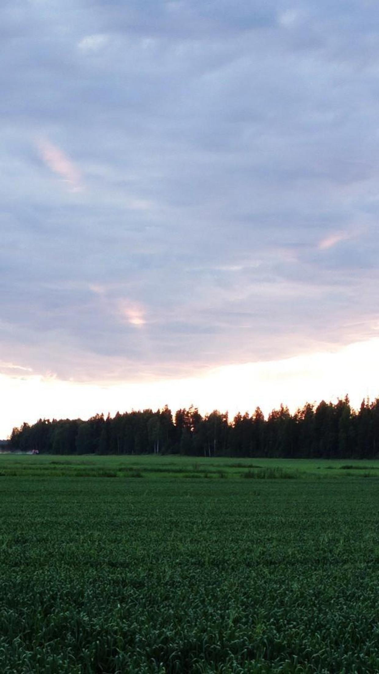 1242x2208 Finland Field Landscape HD Wallpaper, Desktop Background, Mobile