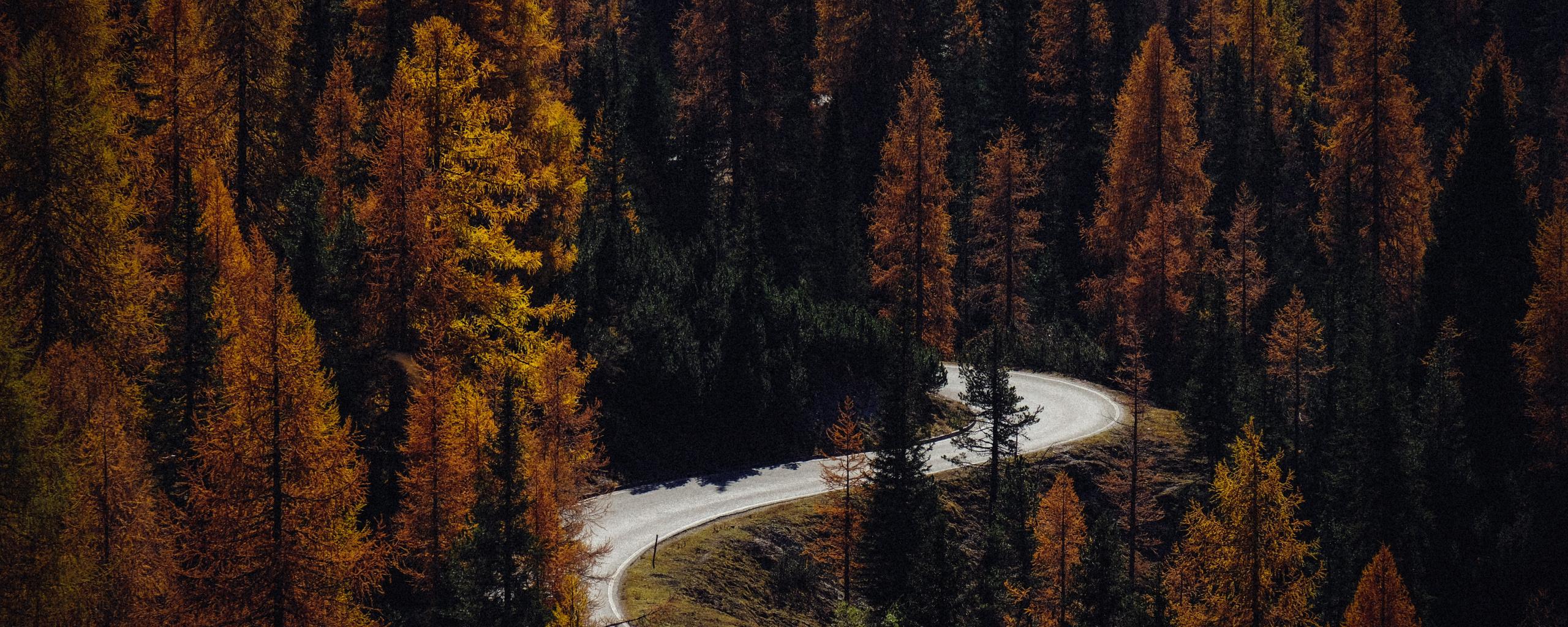 2560x1024 Download Autumn, road, turns, forest, nature wallpaper, 2560x Dual Wide, Wide 21: Widescreen