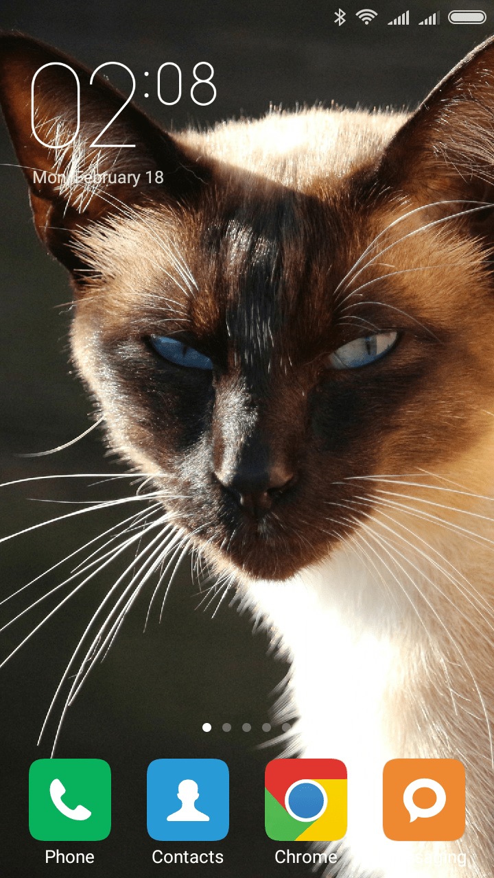 720x1280 Siamese cat Wallpaper : Apps & Games