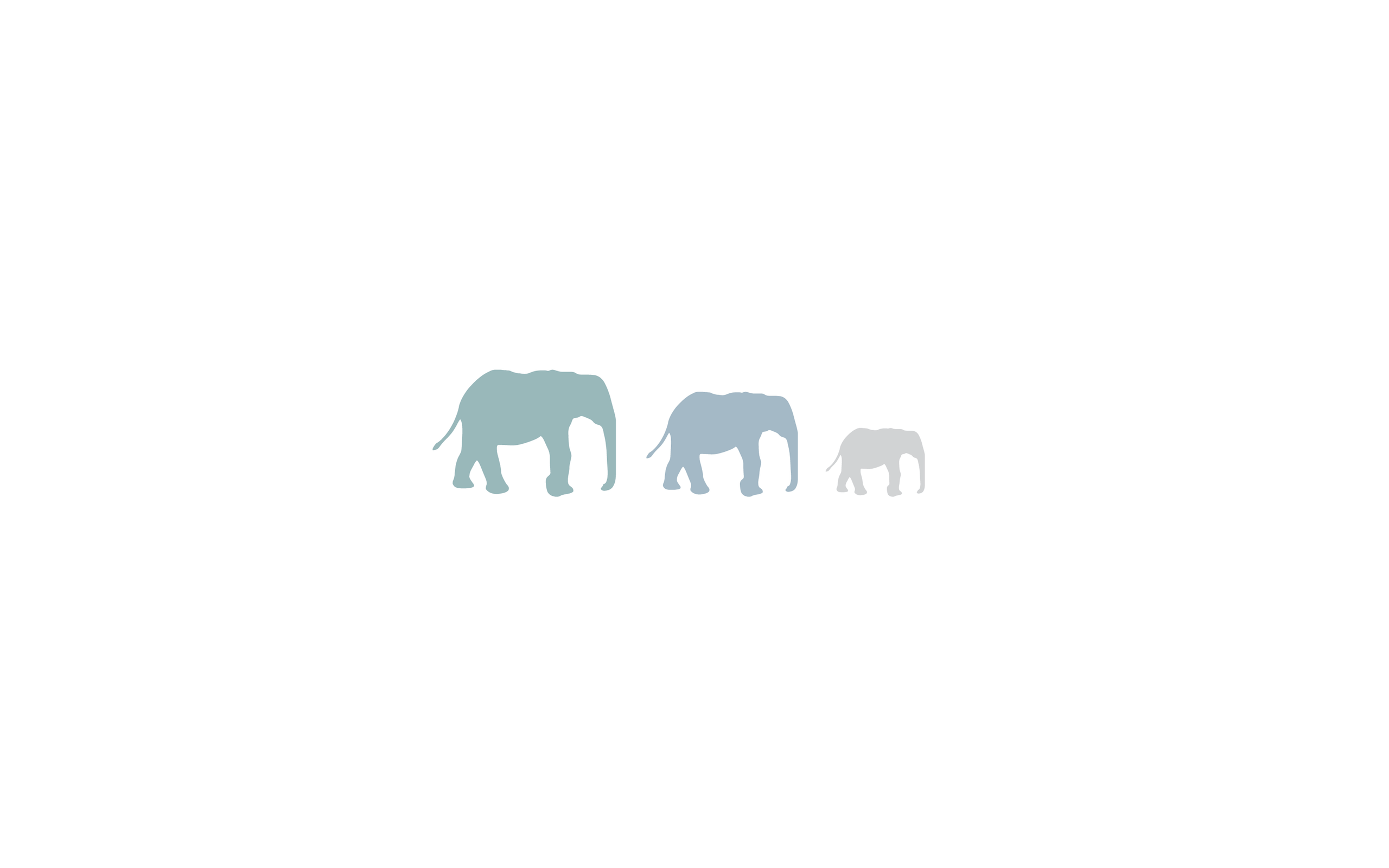 2560x1600 Elephants, white background Desktop wallpaper 1600x1200
