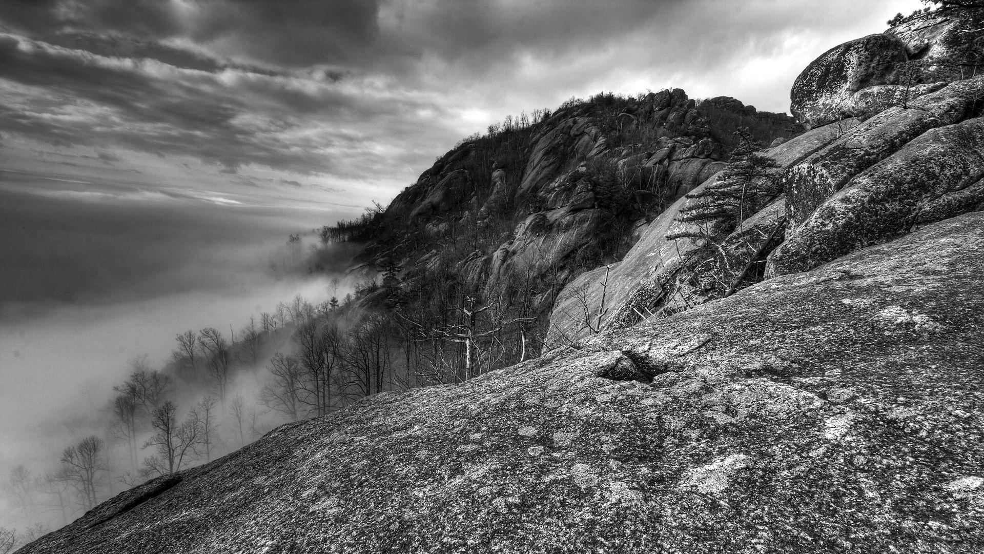 1920x1080 Download Wallpaper 1920x1080 Mountains, Rocks, Trees, Fog, Black And