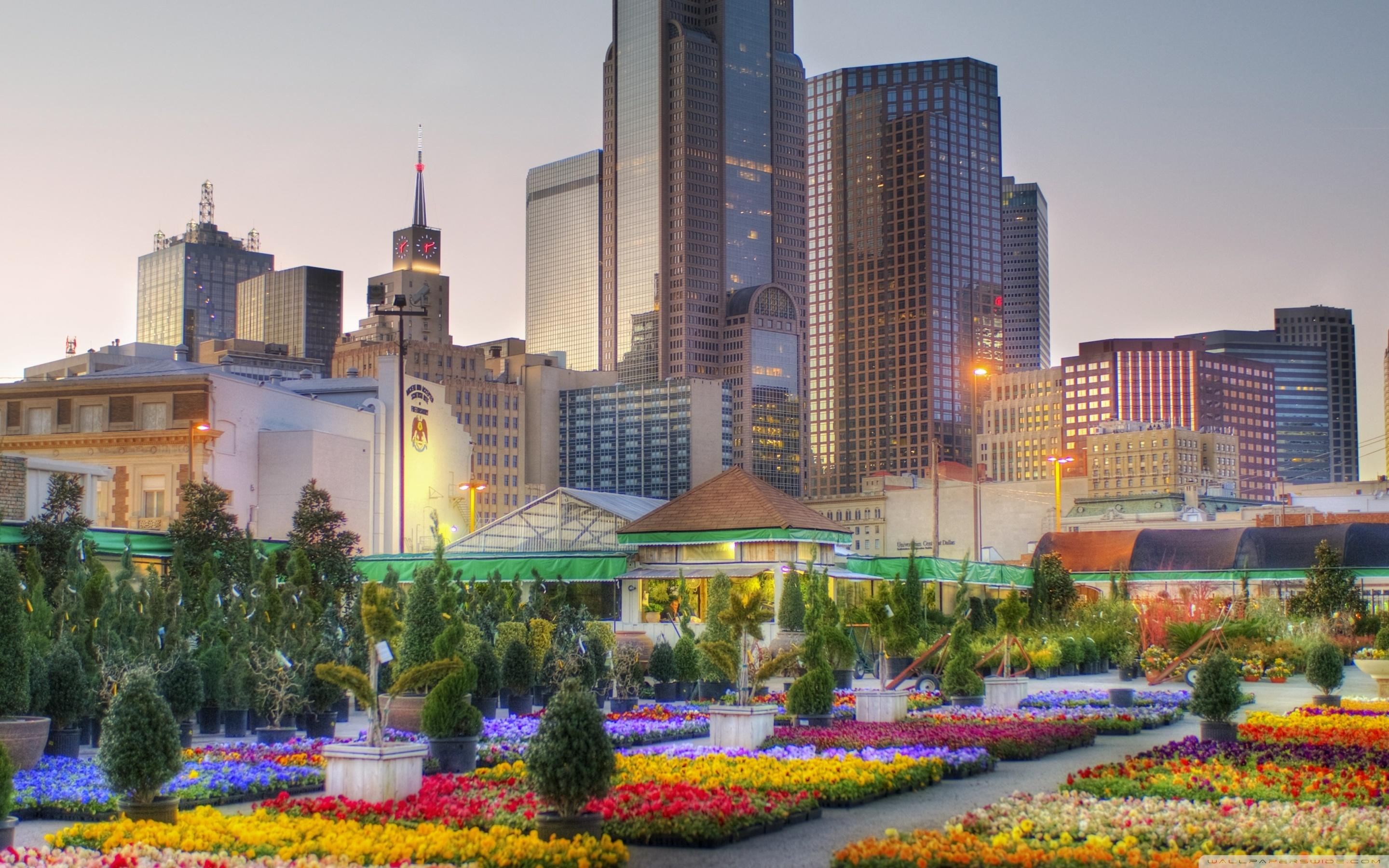 2880x1800 Downtown Dallas From The Flower Market Ultra HD Desktop Background Wallpaper for 4K UHD TV : Widescreen & UltraWide Desktop & Laptop : Tablet