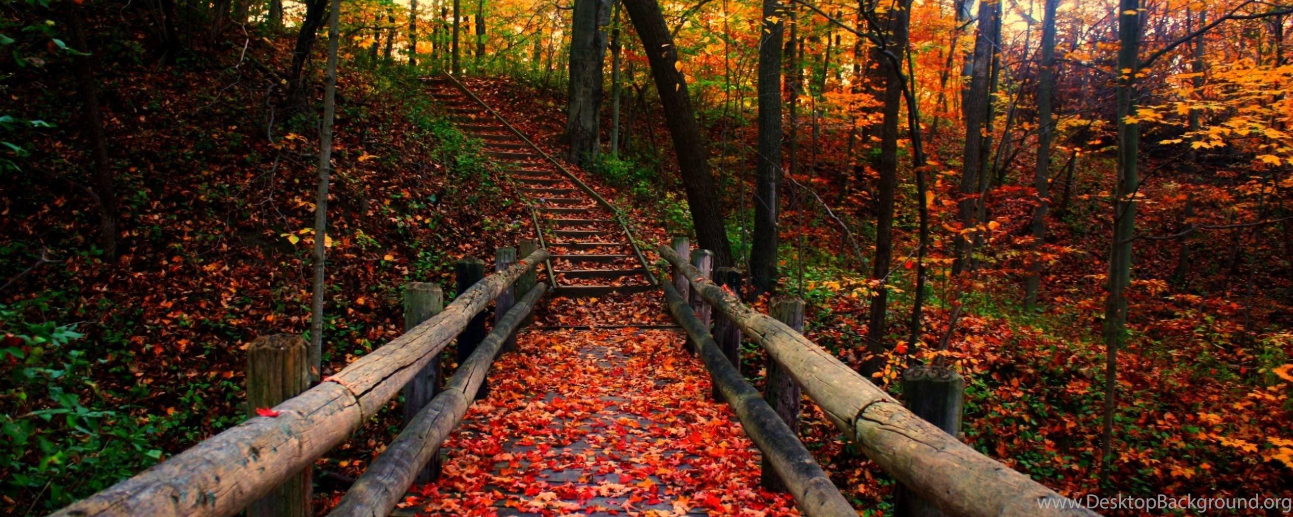 2560x1024 Most Beautiful Autumn Wallpaper HD MixHD Wallpaper Desktop Background