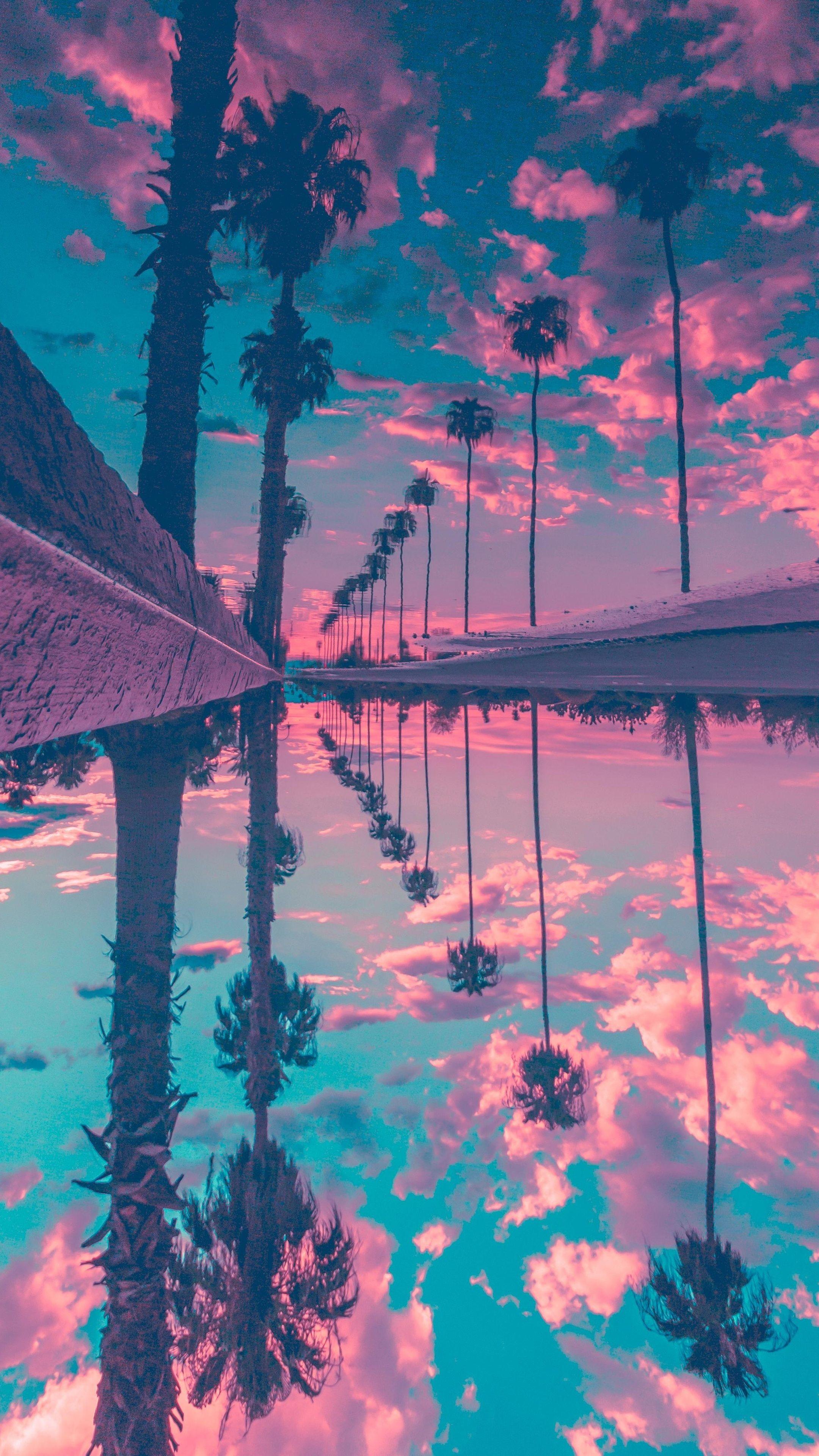 2160x3840 Palm Trees Reflection Sky HD Wallpaper