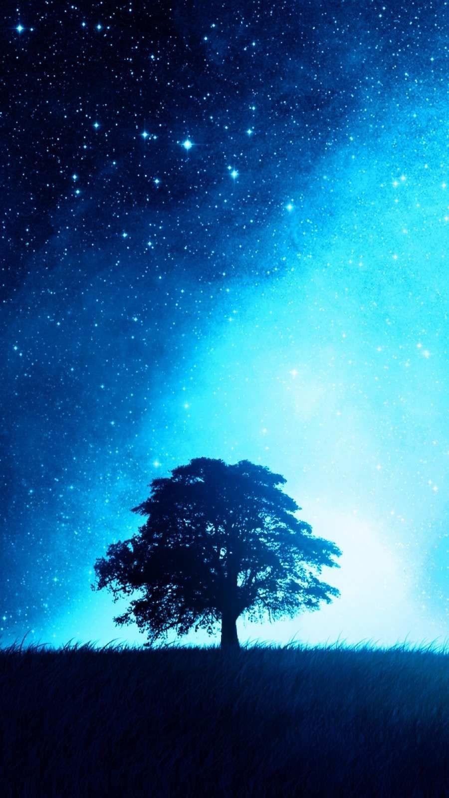 900x1600 Night Sky Tree Wallpaper. Halloween wallpaper background, iPhone wallpaper night sky, iPhone wallpaper night