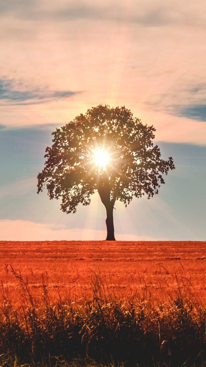 720x1280 Landscape, tree, clouds, sky, sun rays, 720x1280 wallpaper. iPhone wallpaper landscape, Mobile wallpaper, New nature wallpaper