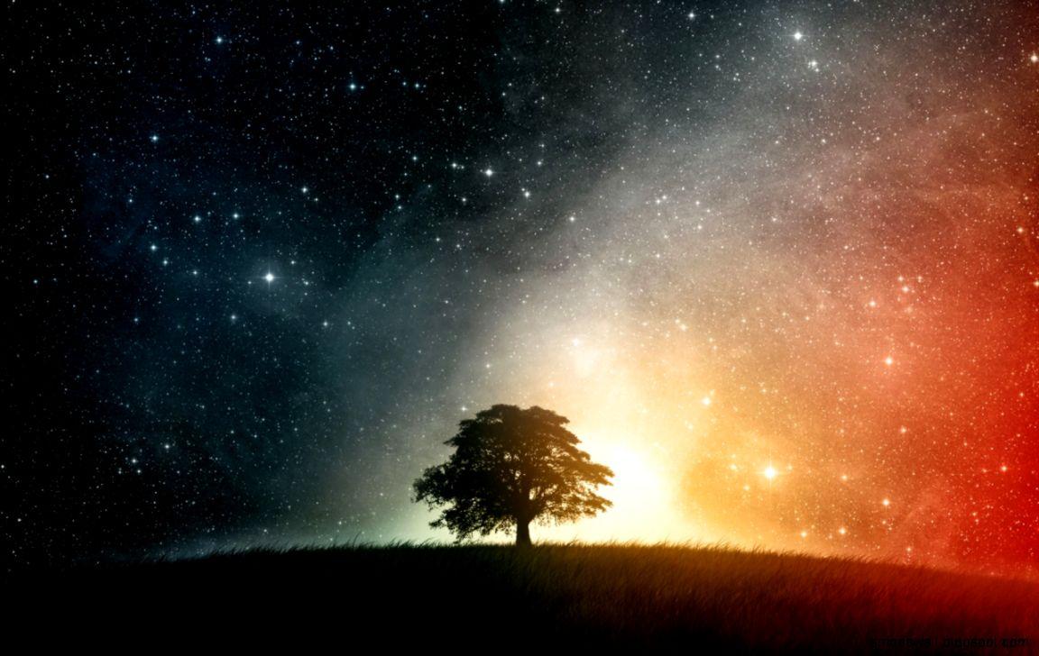 1152x728 Tree Under Night Of Sky