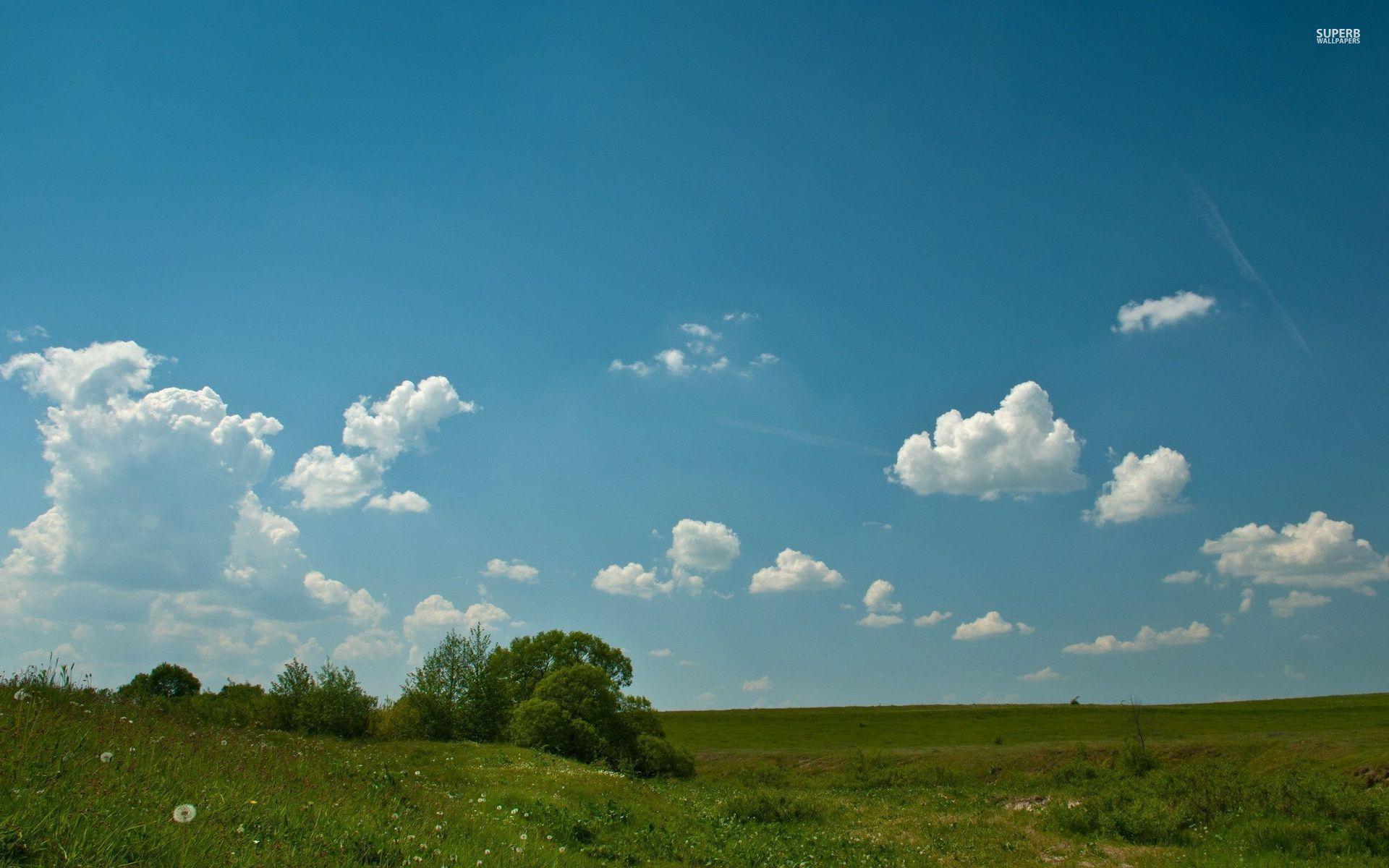 1920x1200 Fluffy clouds on blue sky wallpaper. Clouds, Blue sky wallpaper, Tree wallpaper