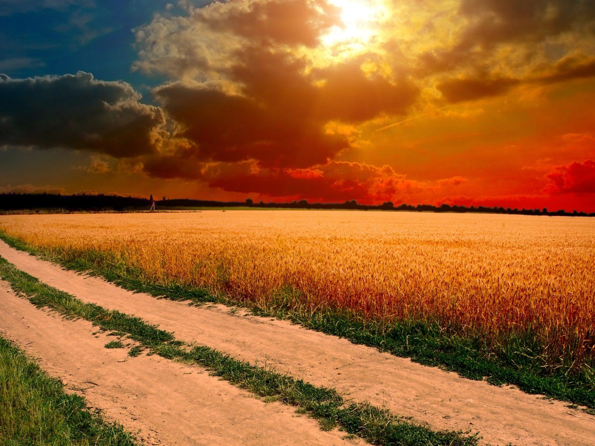 1920x1440 Village Road Field With Mature Wheat Horizon Sunset Sky With Dark Red Clouds HD Wallpaper Free Download 3840x2160 :