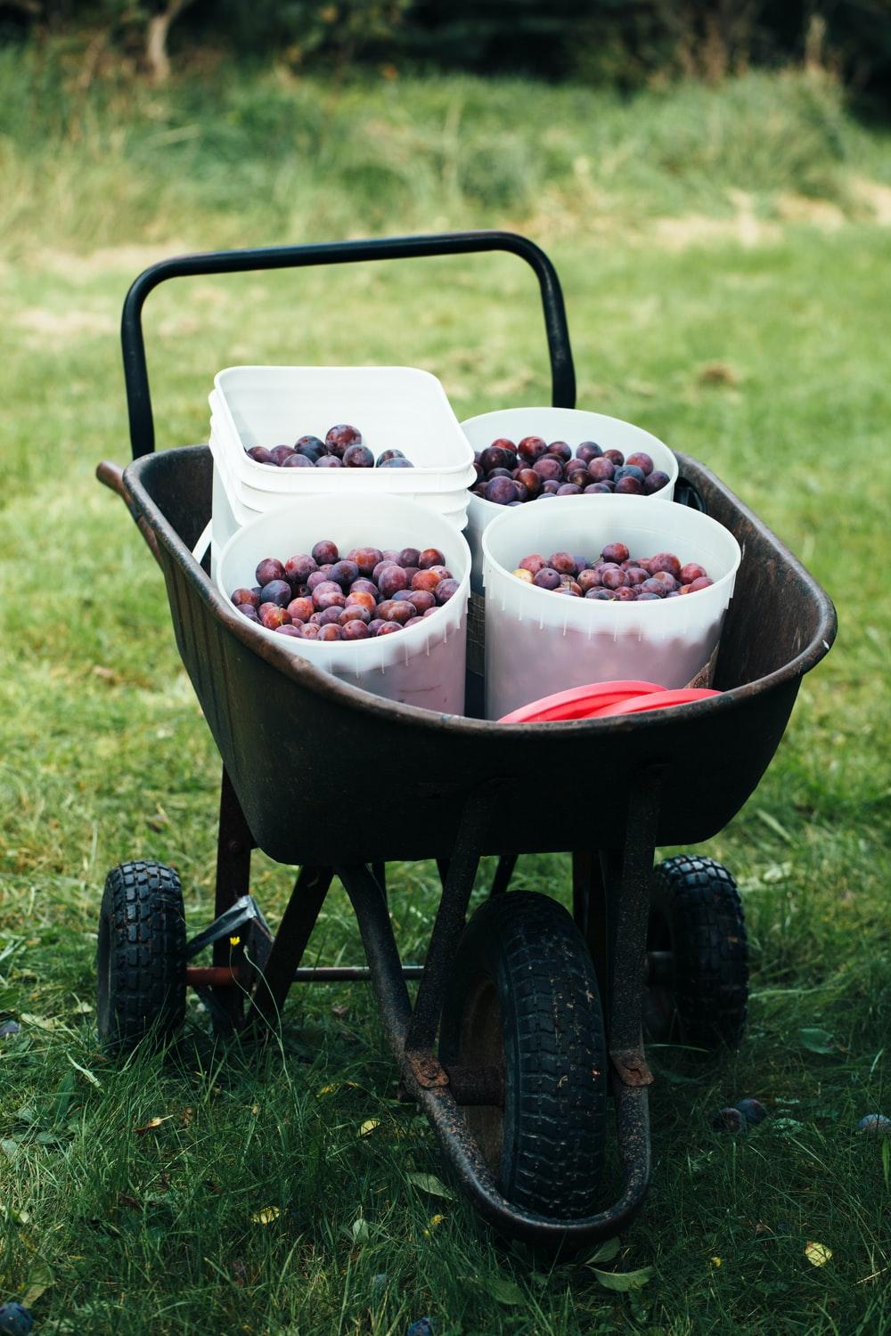 1000x1500 Wheelbarrow Picture. Download Free Image