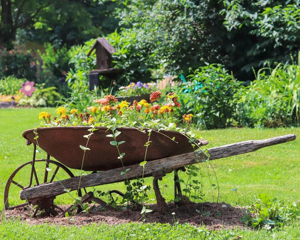 Wheelbarrow Wallpapers - Top Free Wheelbarrow Backgrounds - WallpaperAccess