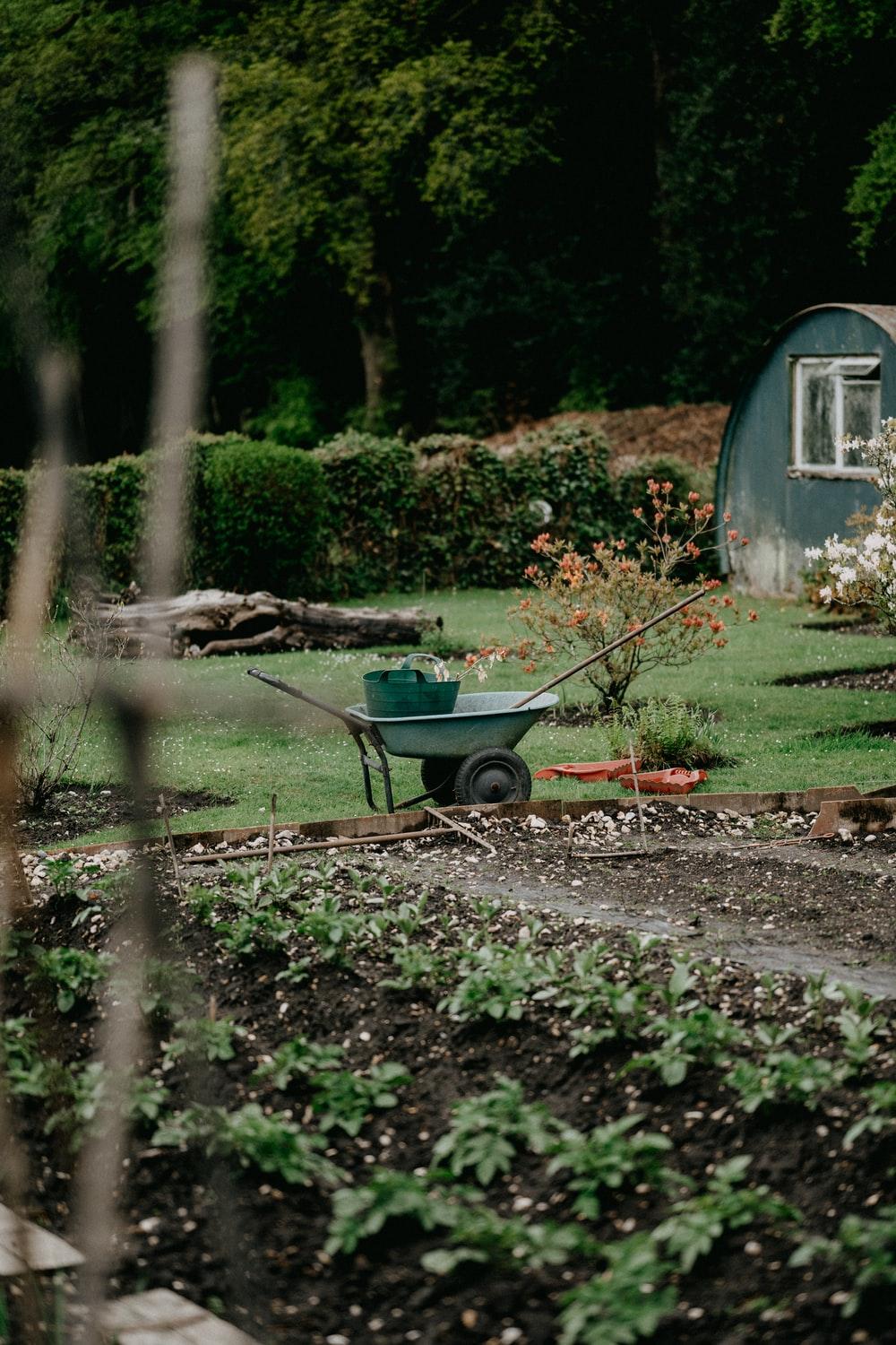 1000x1500 Wheelbarrow Picture. Download Free Image