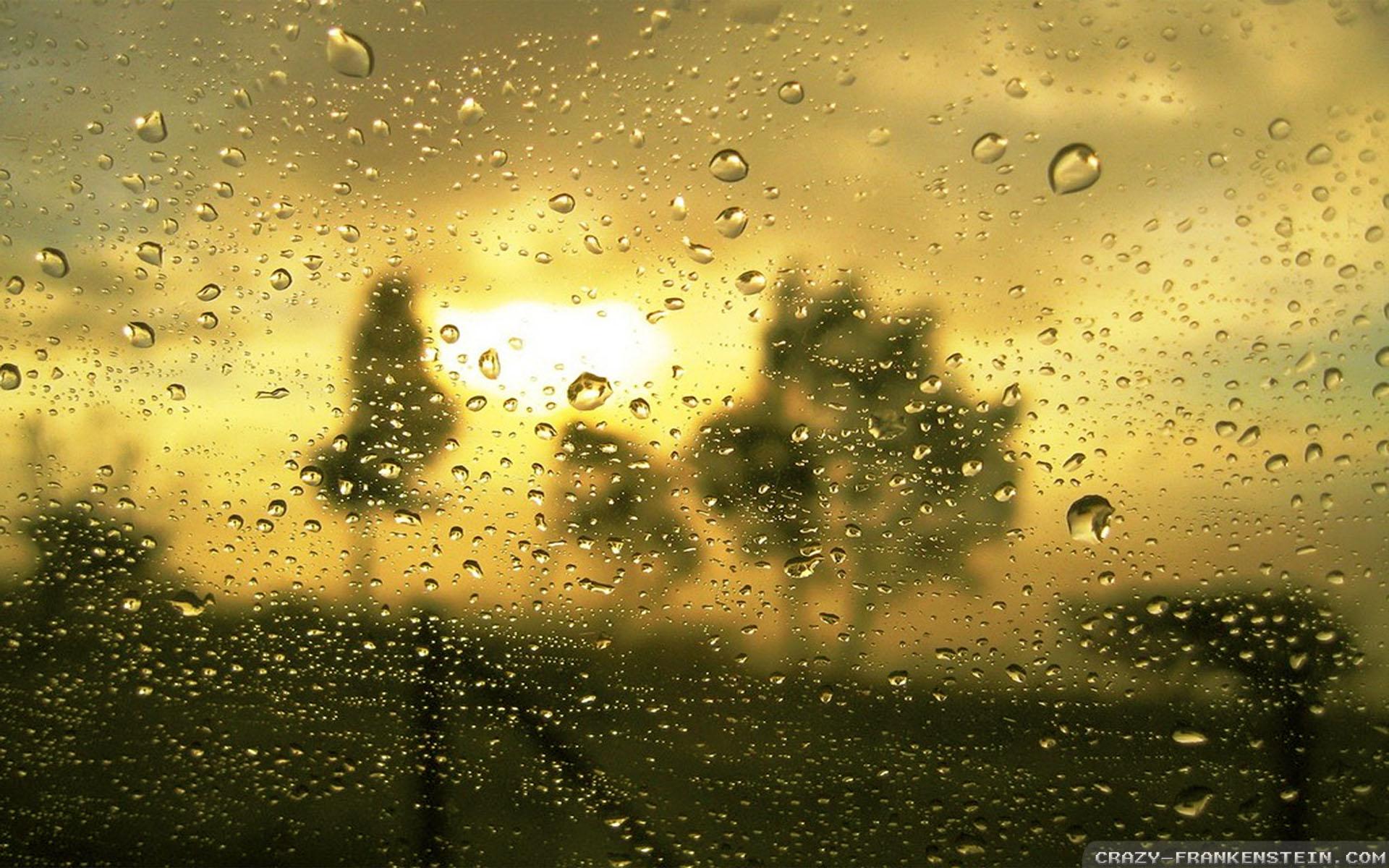 1920x1200 Romantic Rain wallpaper