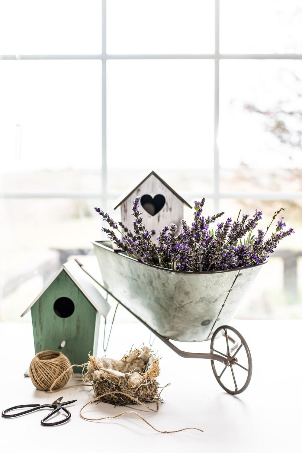 1000x1500 purple petaled flowers near white birdhouse on wheelbarrow photo