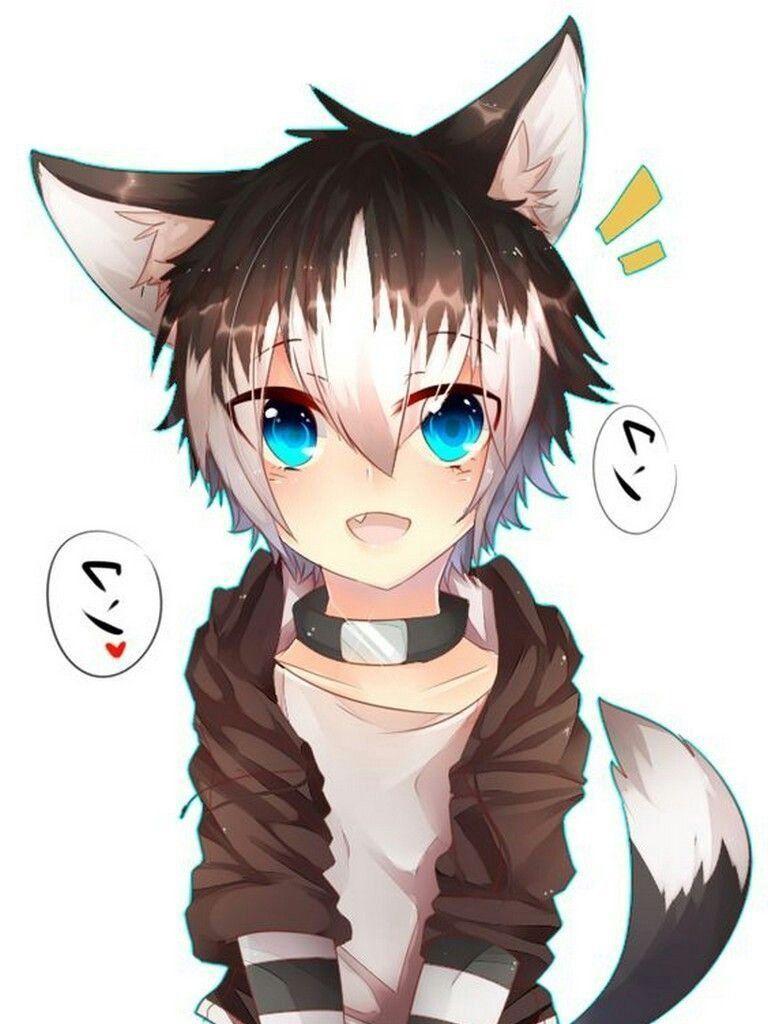 768x1024 Wolf Boy Hoodie Anime Wallpaper