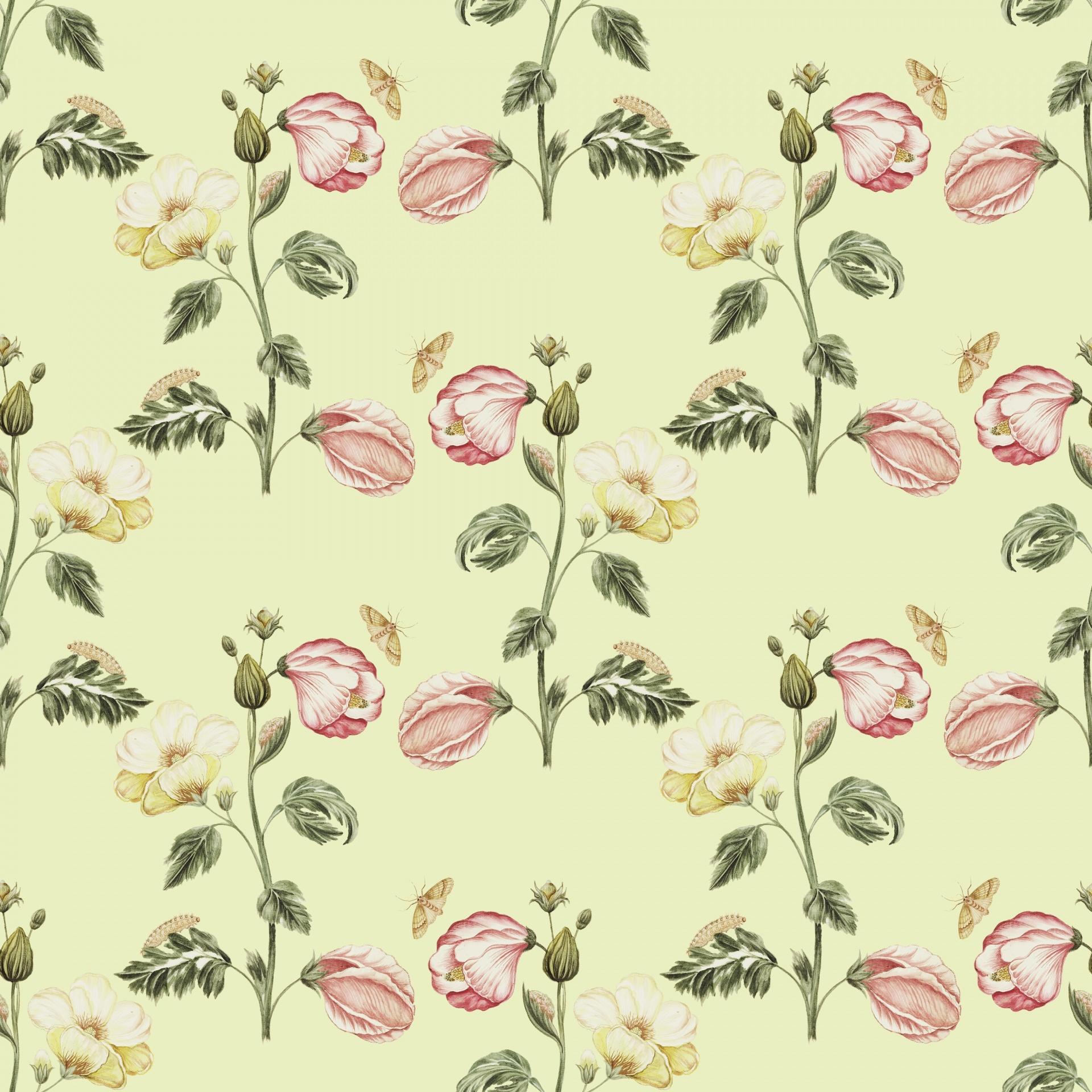 1920x1920 Vintage Floral Wallpaper Background Free Domain Picture
