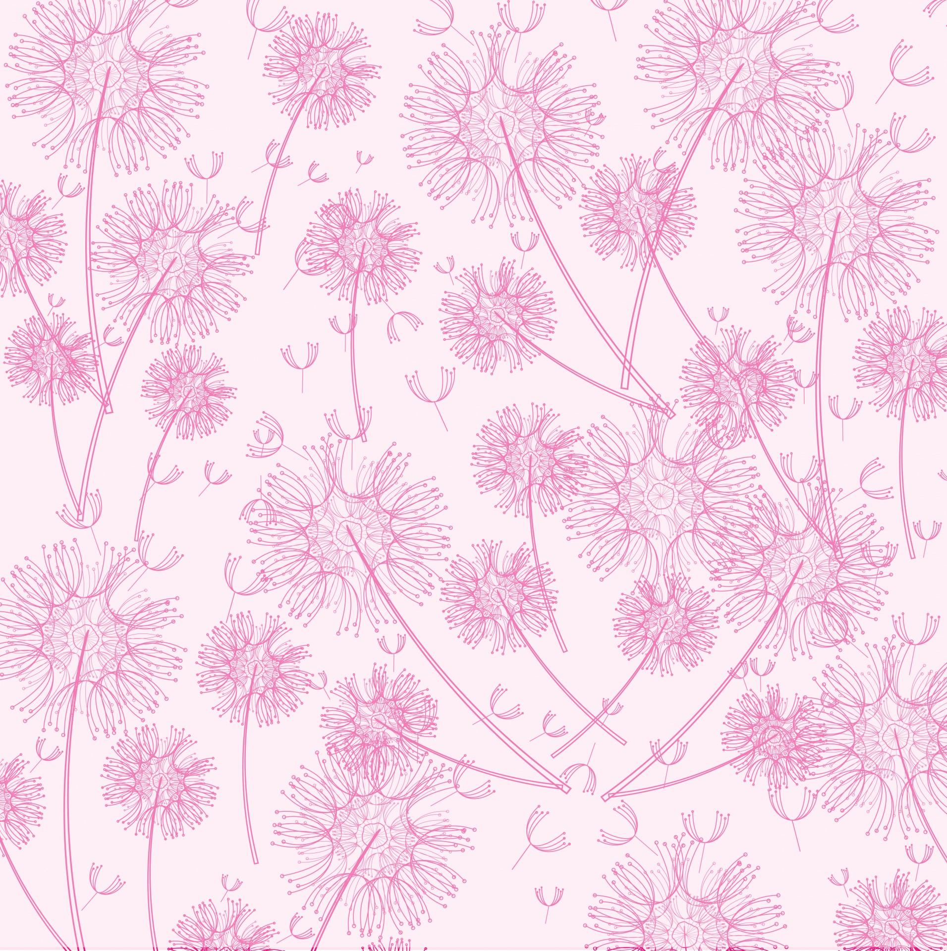 1911x1920 Download free photo of Dandelion, dandelions, wallpaper, background, scrapbooking