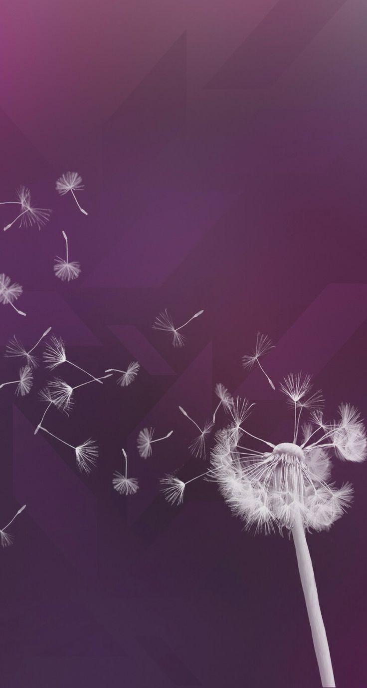 736x1377 Dandelions. Dandelion wallpaper, Wallpaper background, Beautiful wallpaper. Dandelion wallpaper, Wallpaper background, Beautiful wallpaper