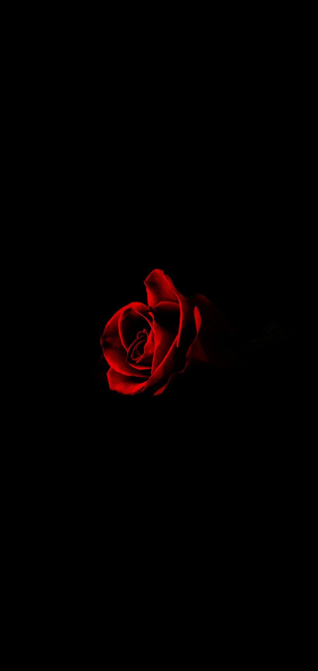 1080x2280 Black and red #blacklover#black#rose#love. Dark phone wallpaper, Dark red wallpaper, Black phone wallpaper