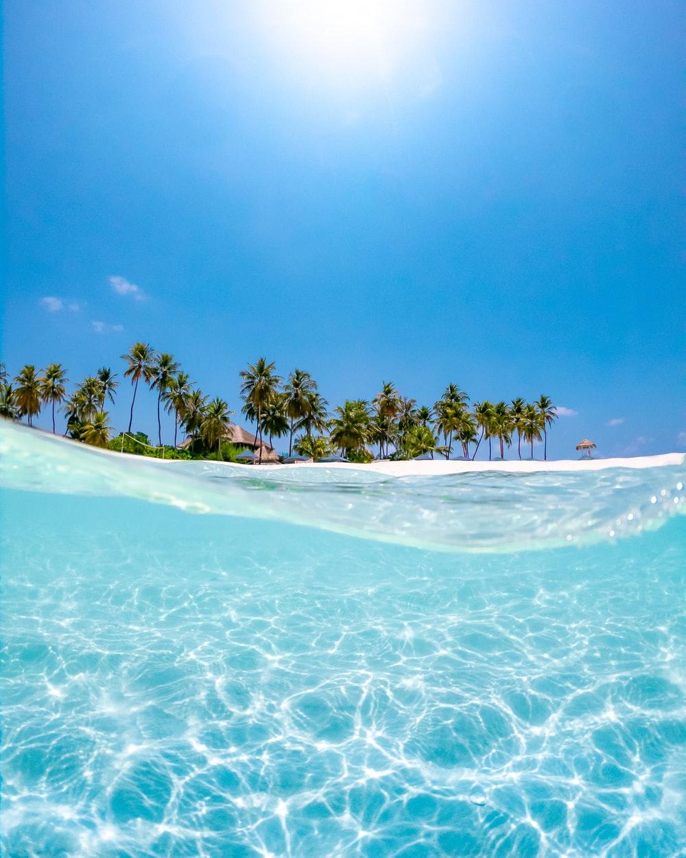 1000x1250 crystal clear water near coconut trees under the sun photo