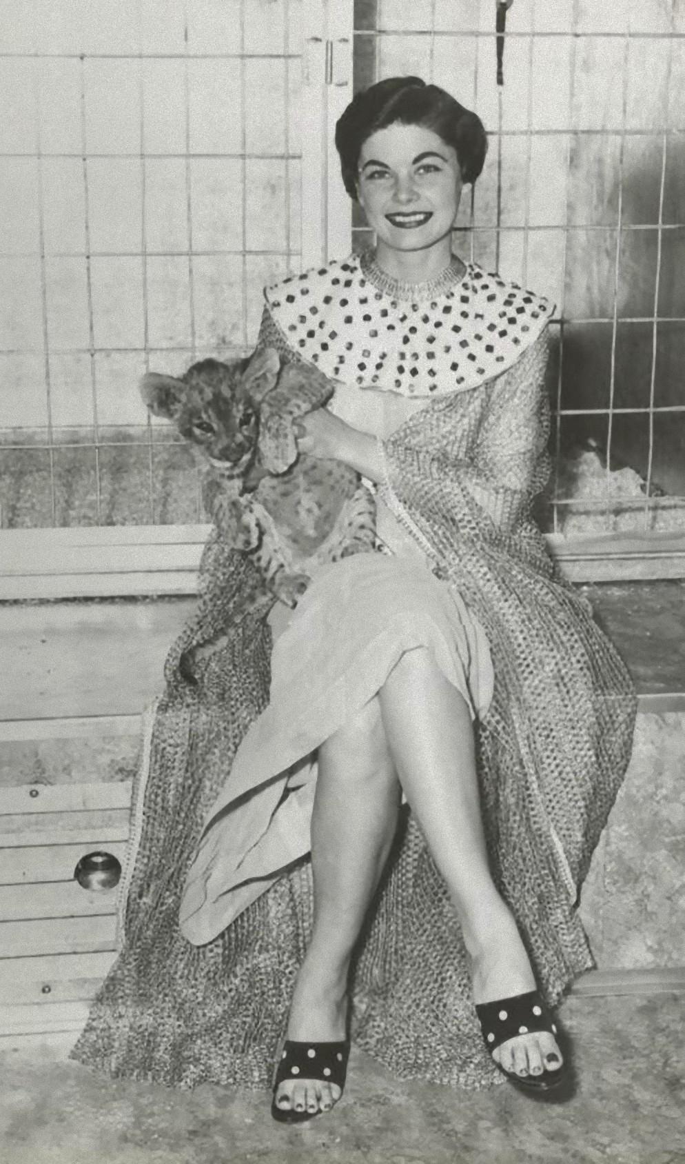 994x1688 Populer Image of Jean Simmons
