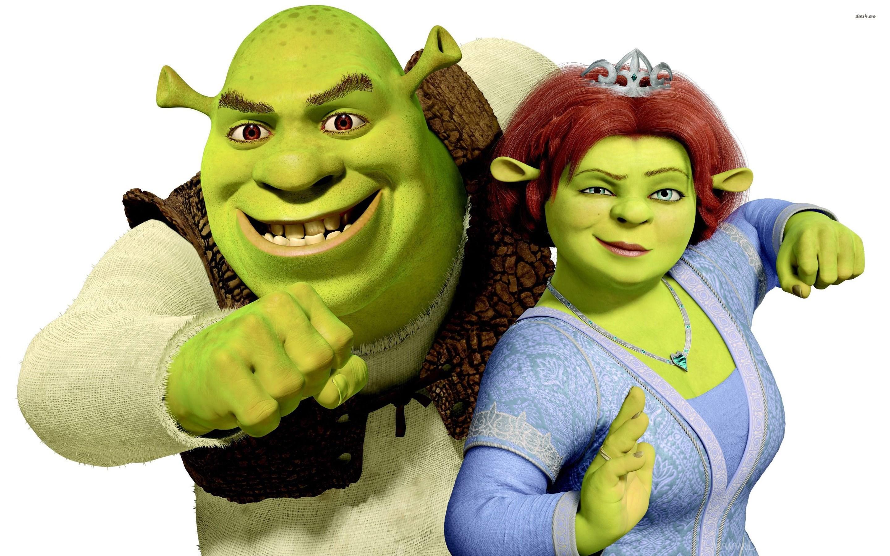 2880x1800 Shrek And Princess Fiona Wallpaper Cartoon Wallpaper Desktop Background