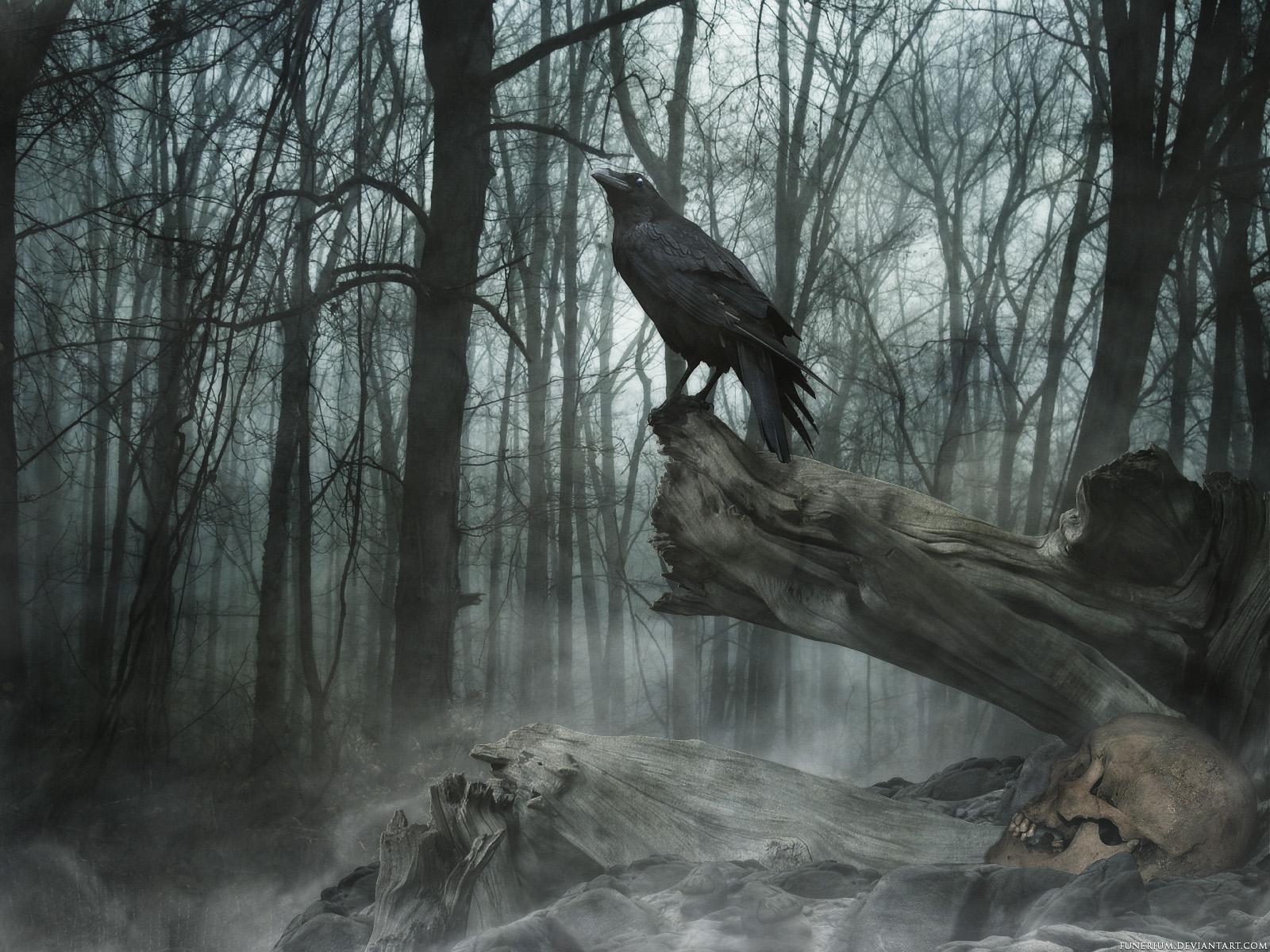 1600x1200 poe, The, Crow, Raven, Gothic, Trees, Darl, Mood Wallpaper HD / Desktop and Mobile Background