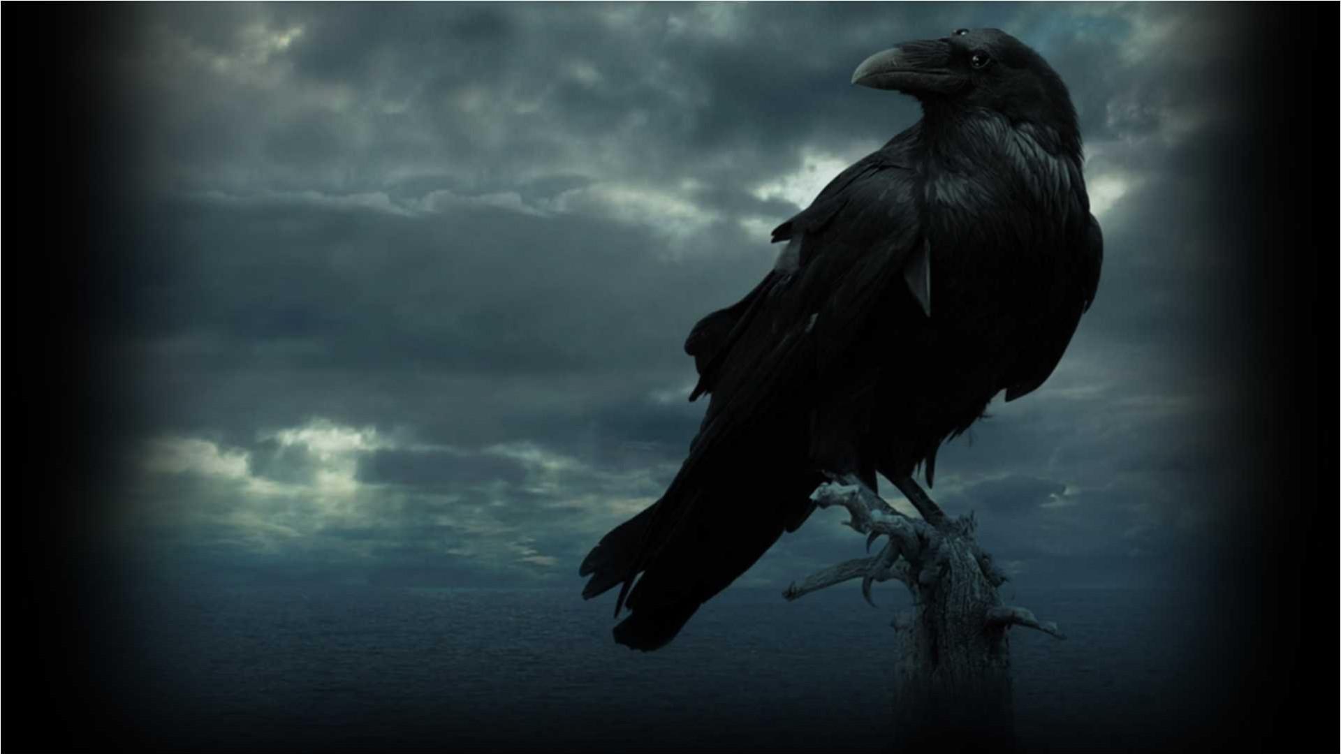 Gothic Raven Wallpapers - Top Free Gothic Raven Backgrounds ...