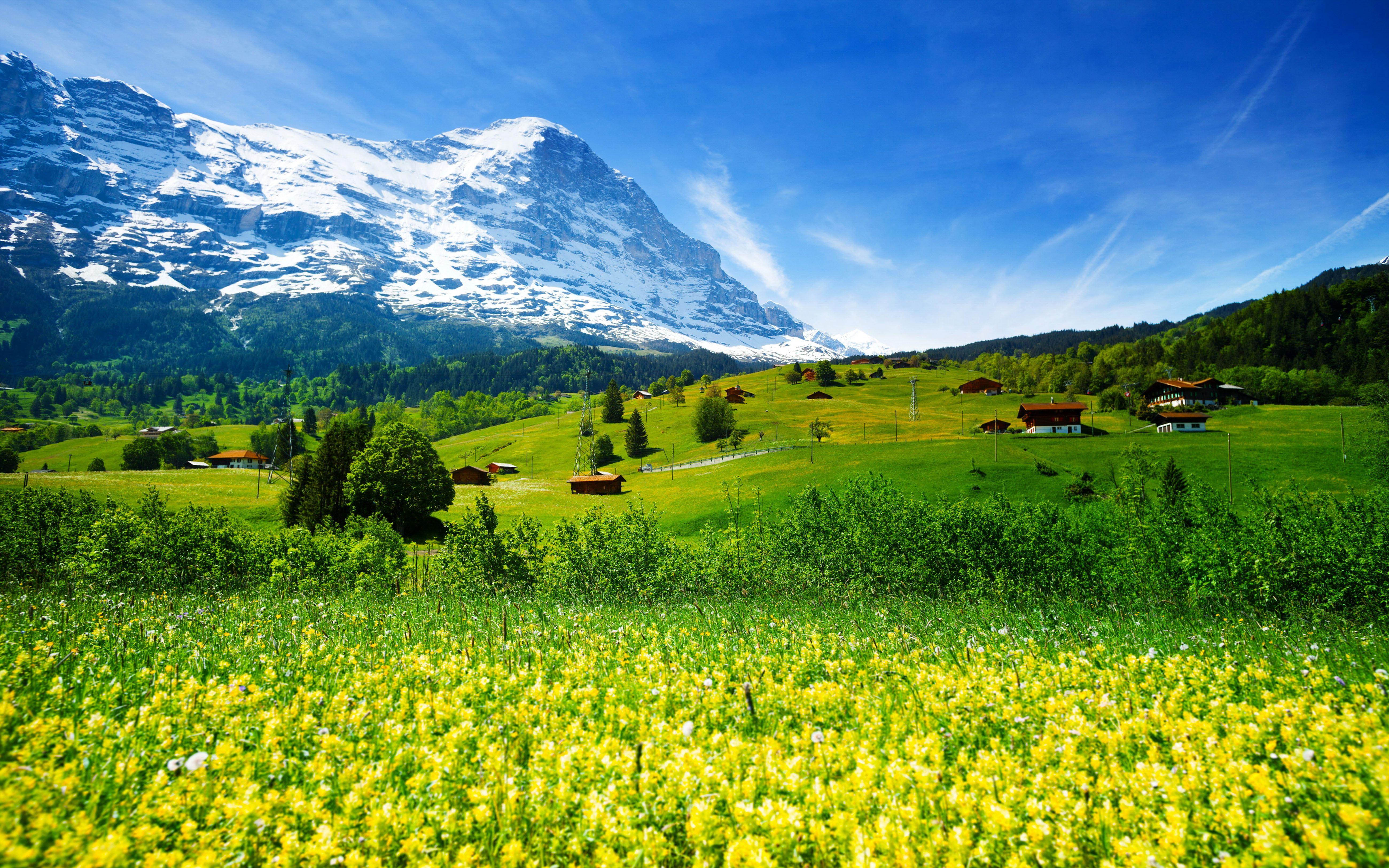 5200x3250 Spring Landscape Nature Switzerland Meadow With Yellow Flowers And Green Grass Mountainous. Switzerland wallpaper, iPhone wallpaper mountains, Mountain wallpaper