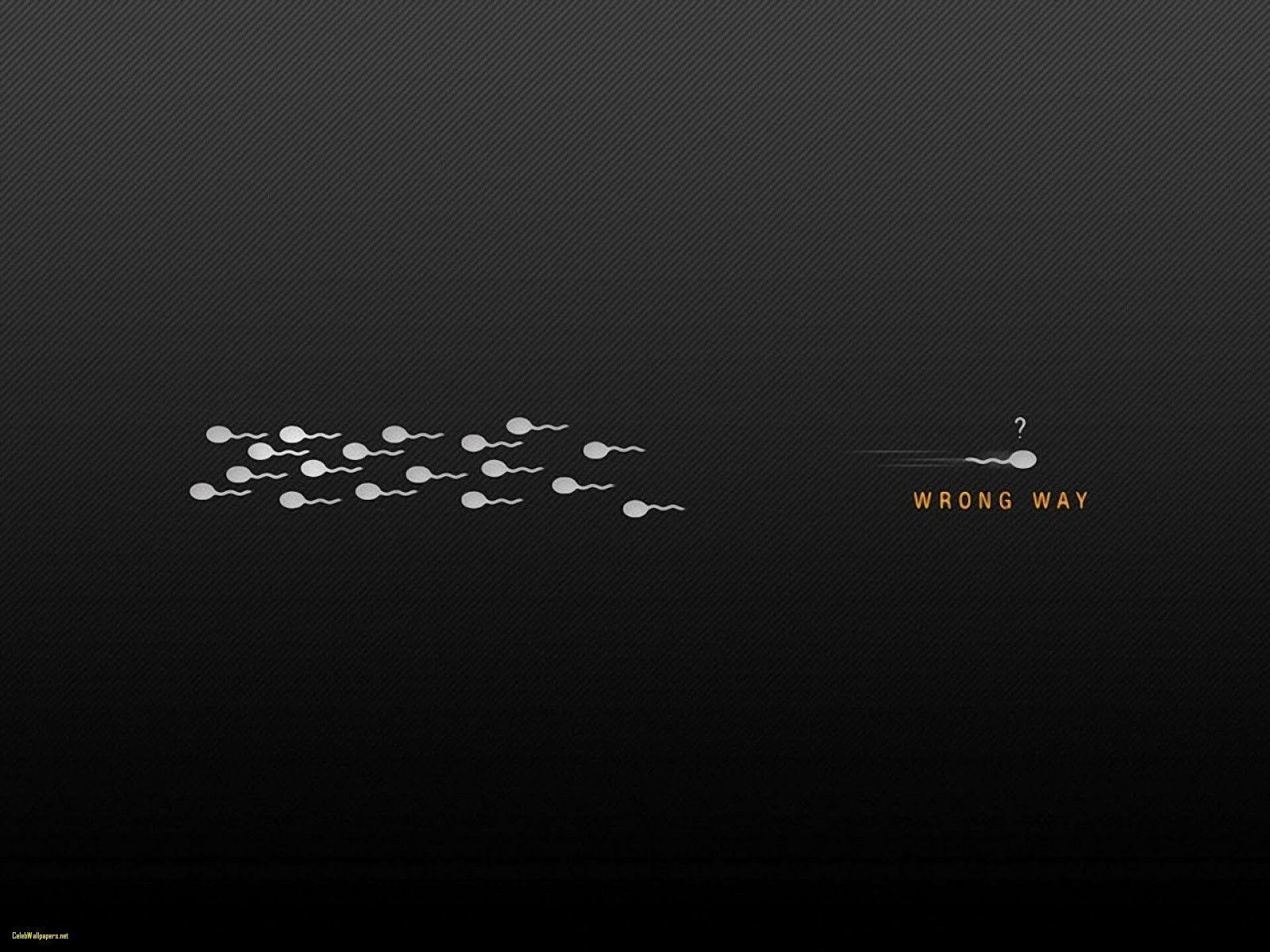 1600x1200 Physicist Wallpaper