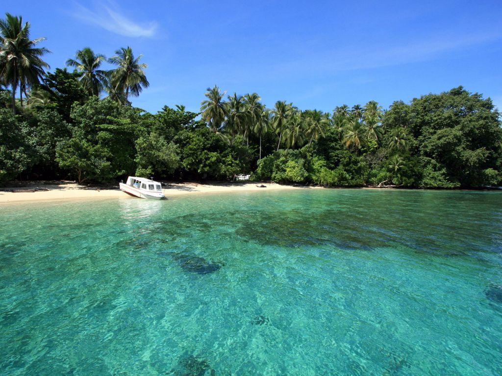 1024x768 Tropical Beach View wallpaper in 1024x768 resolution