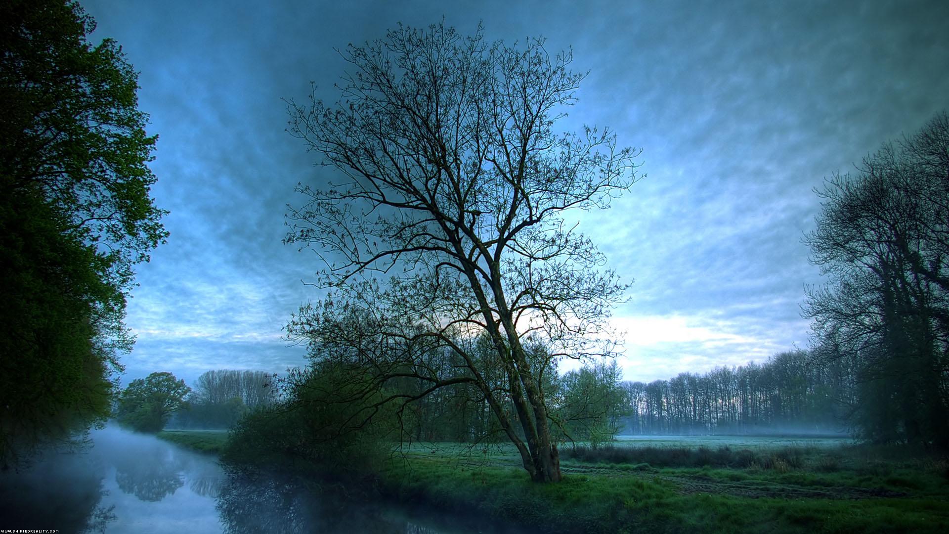1920x1080 Scene, scenery, wallpaper, nature, apple, landscape, foggy, nights, phong