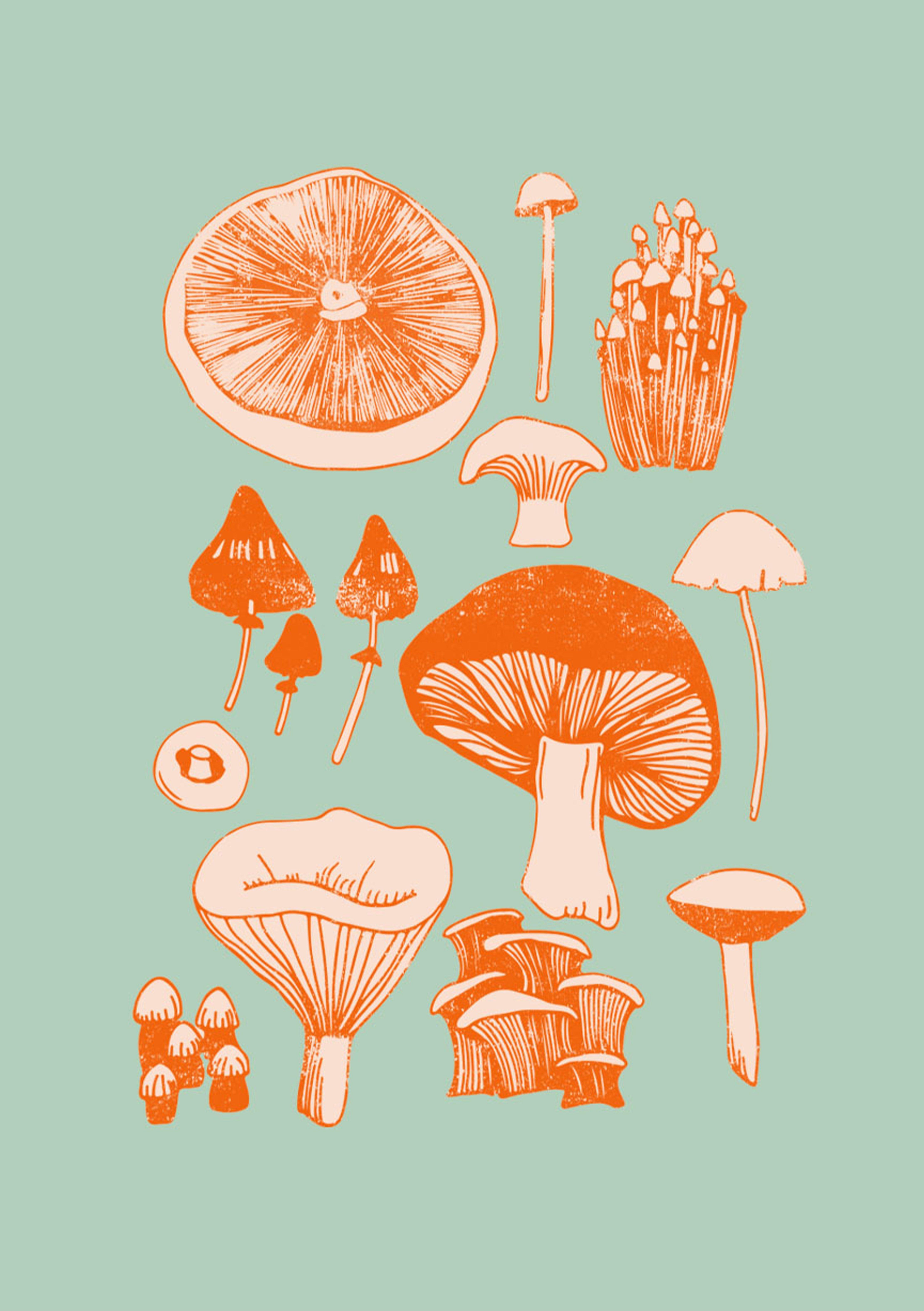 Cute Aesthetic Mushroom Wallpapers  Wallpaper Cave