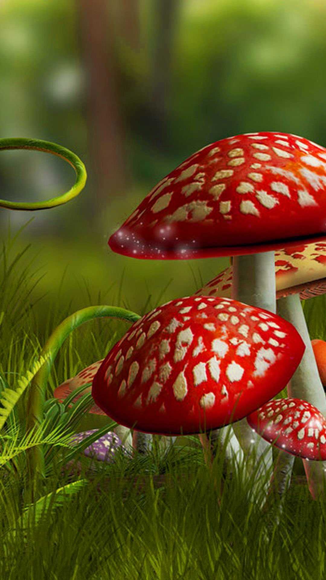 Mushroom Phone Wallpapers Top Free Mushroom Phone Backgrounds