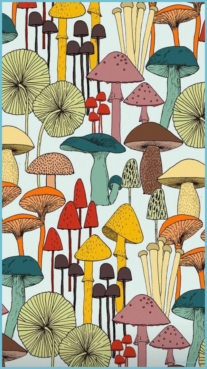 698x1241 The Reason Why Everyone Love Mushroom Wallpaper Aesthetic. Mushroom Wallpaper Aesthetic