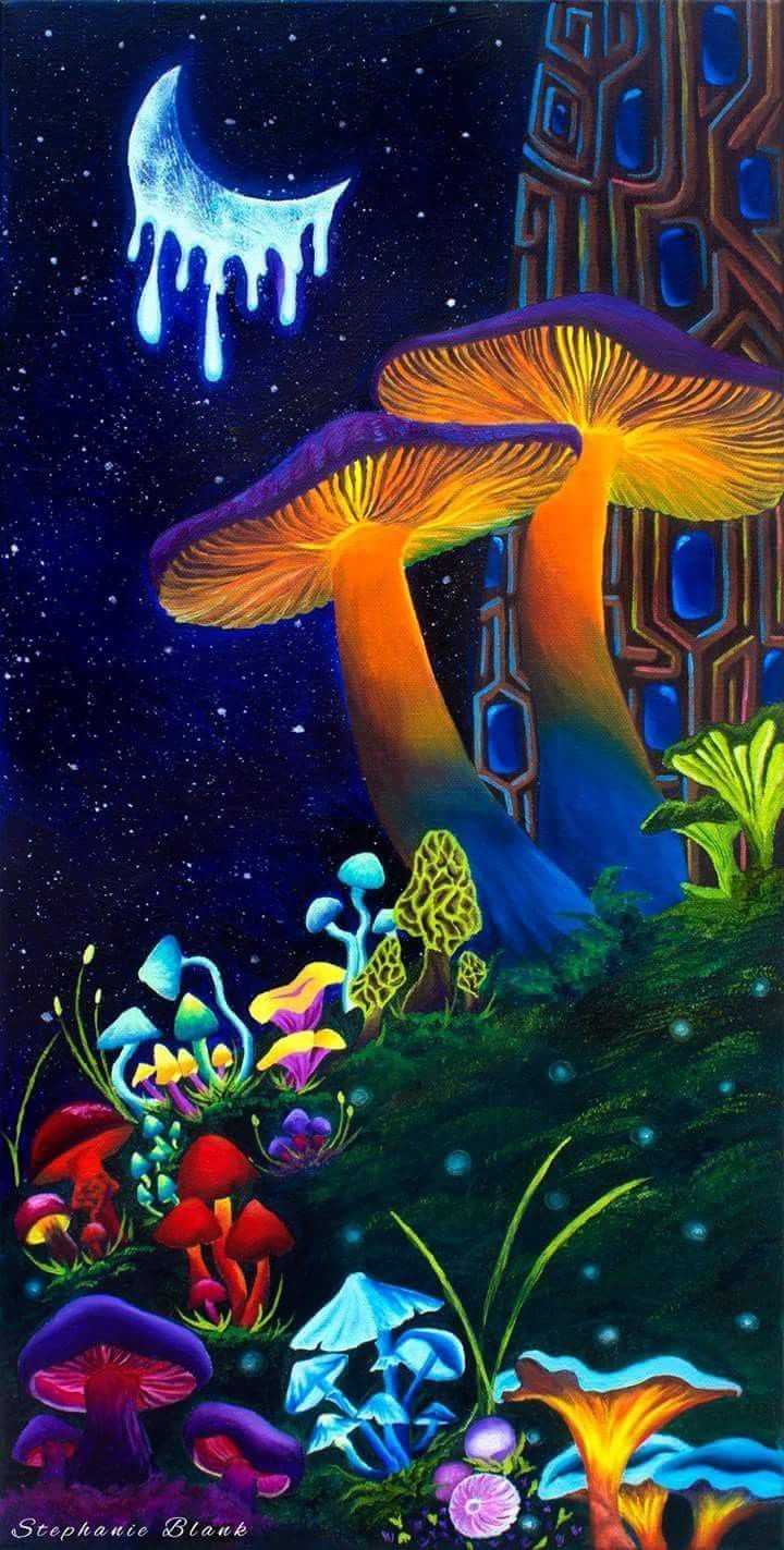 720x1423 Mushroom Wallpaper