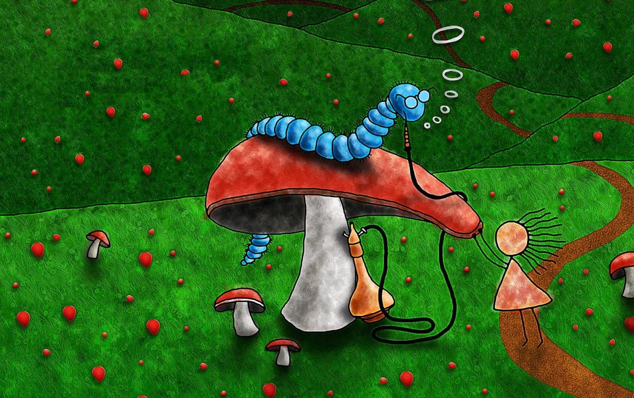 1280x804 Worm on mushroom wallpaper. Worm on mushroom