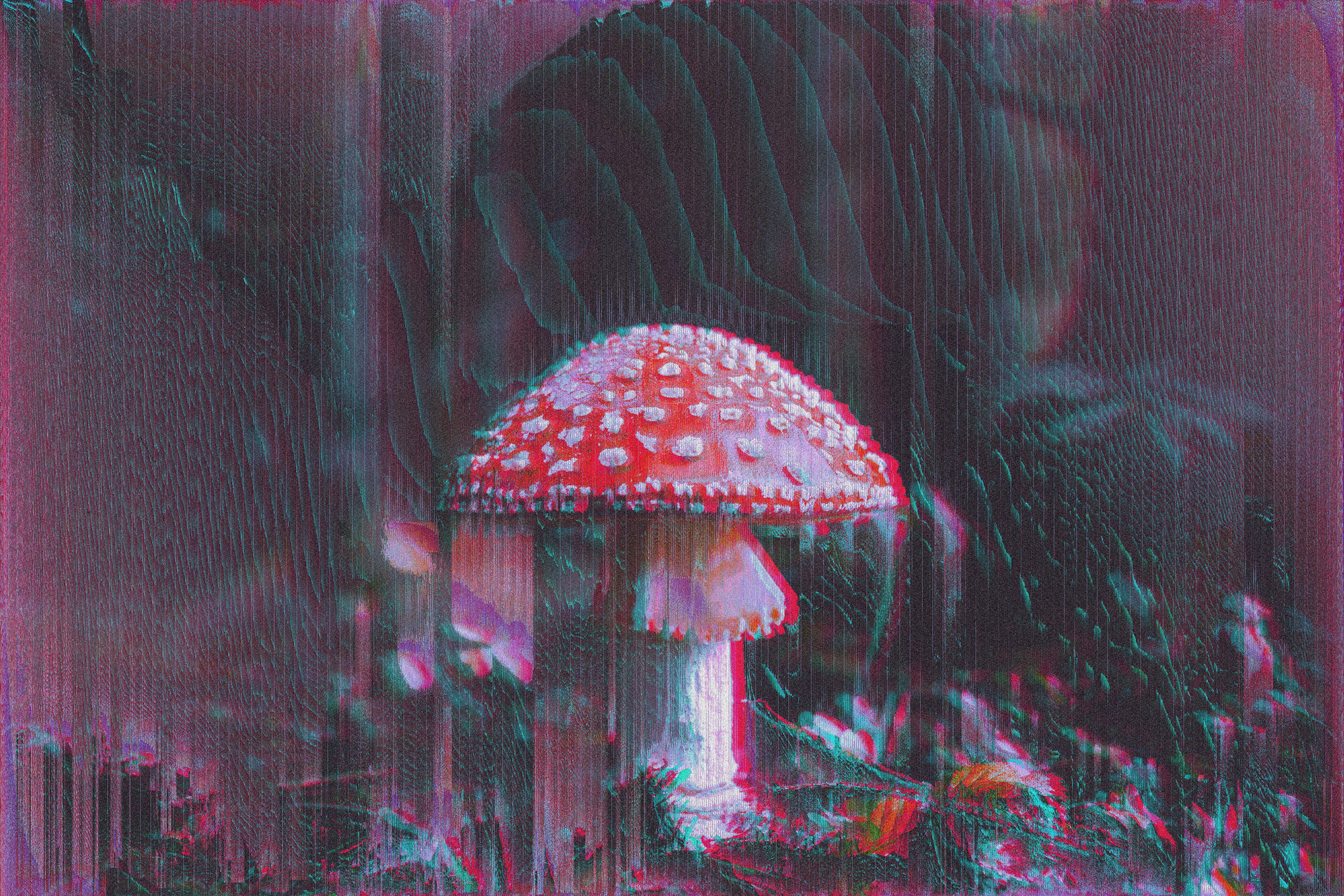 6001x4000 Glitch Art, Mushroom, Glitch wallpaper