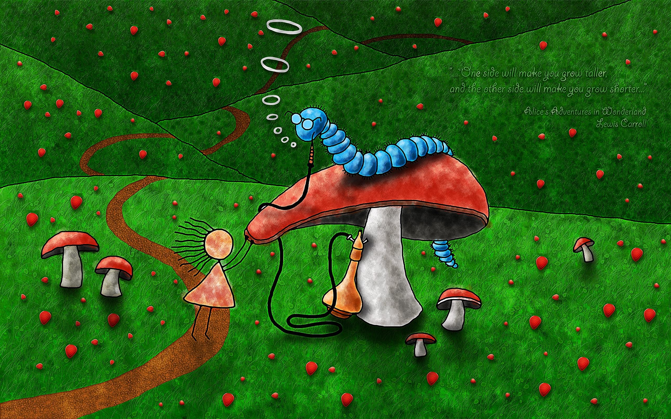 2560x1600 Best Mushroom Mac Wallpaper Free HD Download