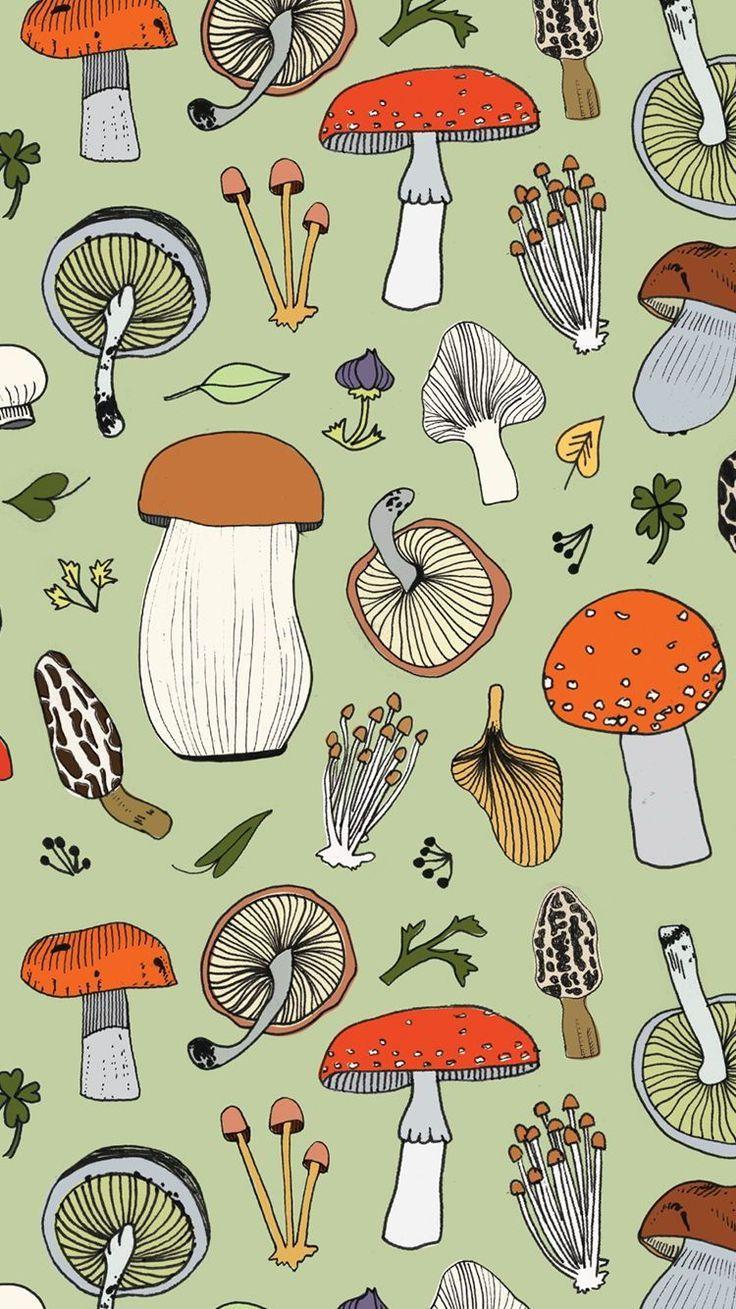 Buy 4k Wallpaper Mushrooms Background Aesthetic Desktop Wallpaper Online in  India  Etsy