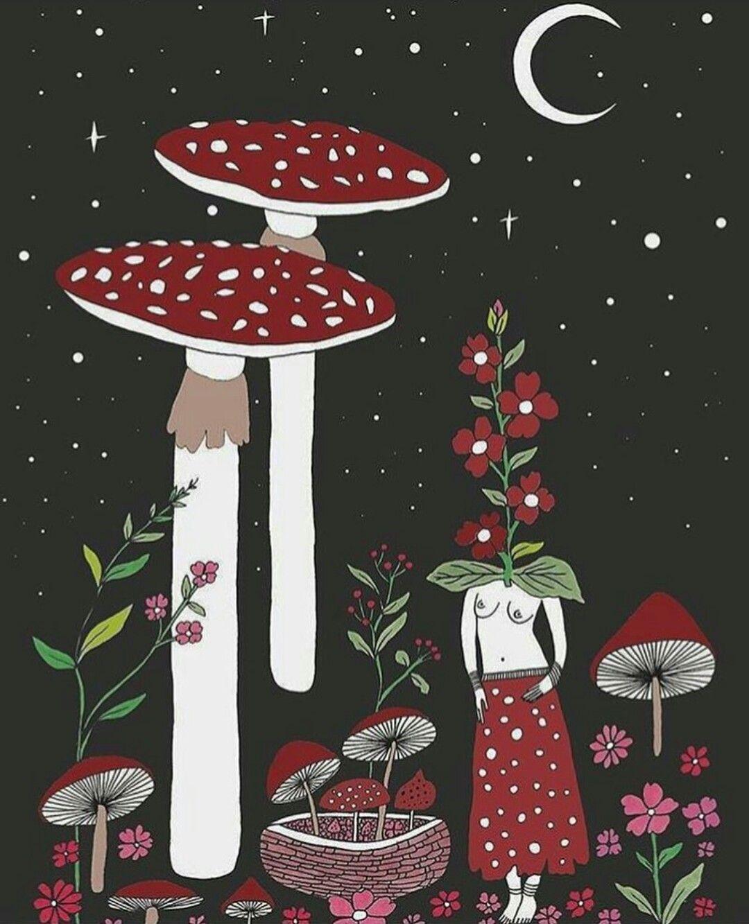 Mushroom Color Background Wallpaper Image For Free Download  Pngtree