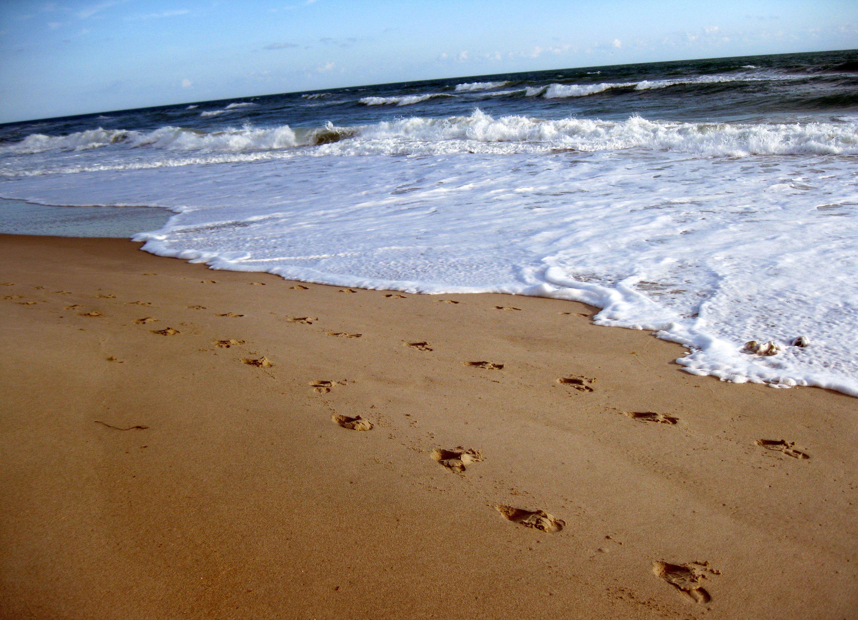 2800x2024 Free Footprints In The Sand Wallpaper