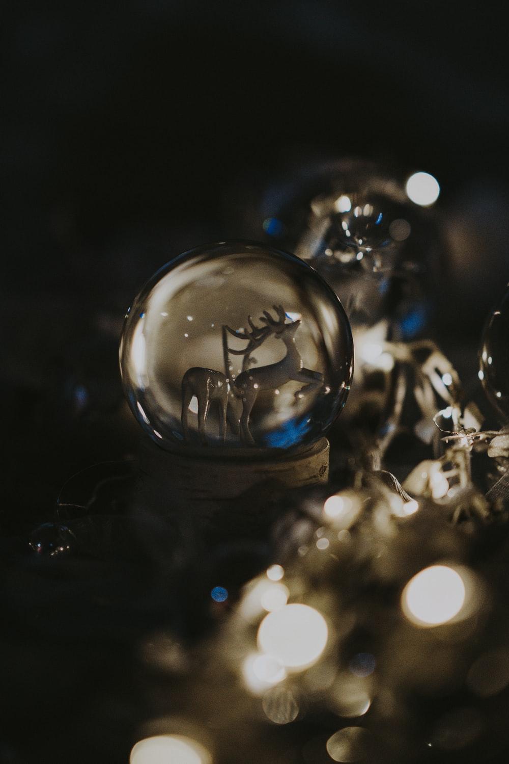 1000x1499 Snow Globe Picture. Download Free Image