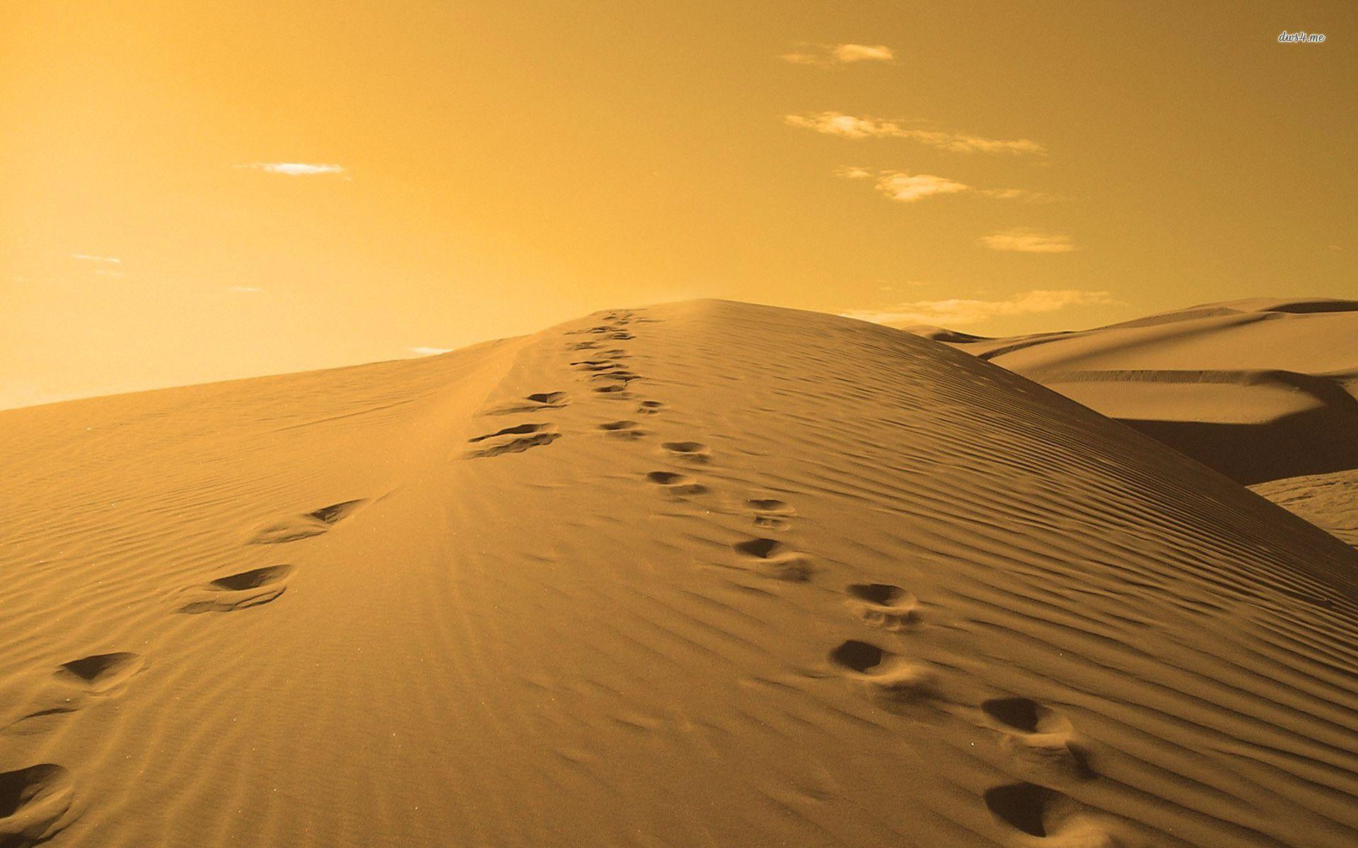 1920x1200 Free download Footprints In The Sand Wallpaper [1920x1200] for your Desktop, Mobile & Tablet. Explore Footprints In The Sand Wallpaper. Footprint Wallpaper