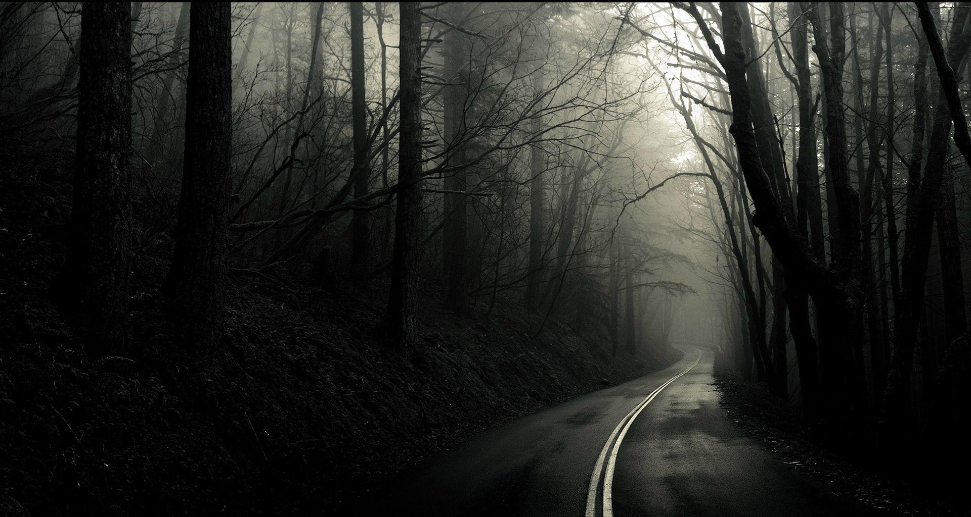 1920x1024 #dark, #road, #trees, #monochrome, #forest, wallpaper. Mocah HD Wallpaper